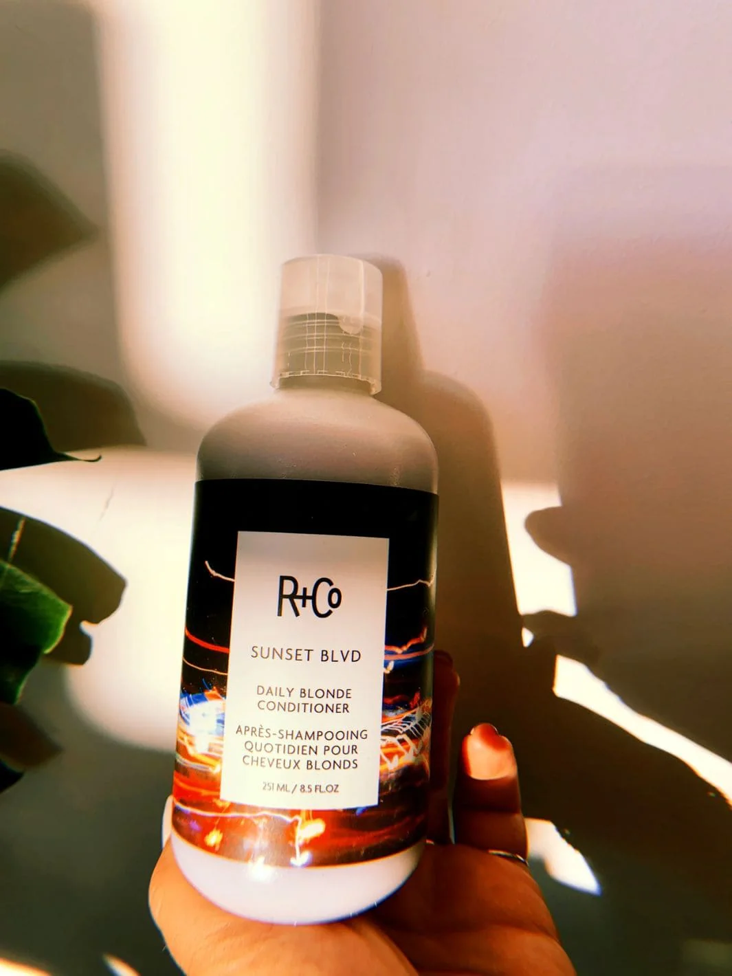 SUNSET BLVD Blonde Conditioner - Image 3