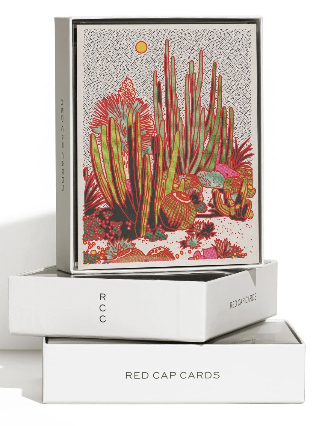 Cactus Scene Everyday Greeting Card - Image 2