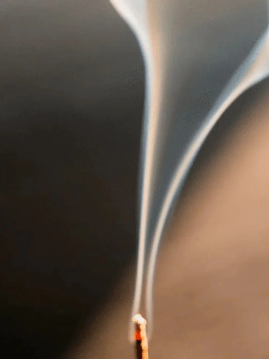 California Juniper Campfire Incense - Image 3