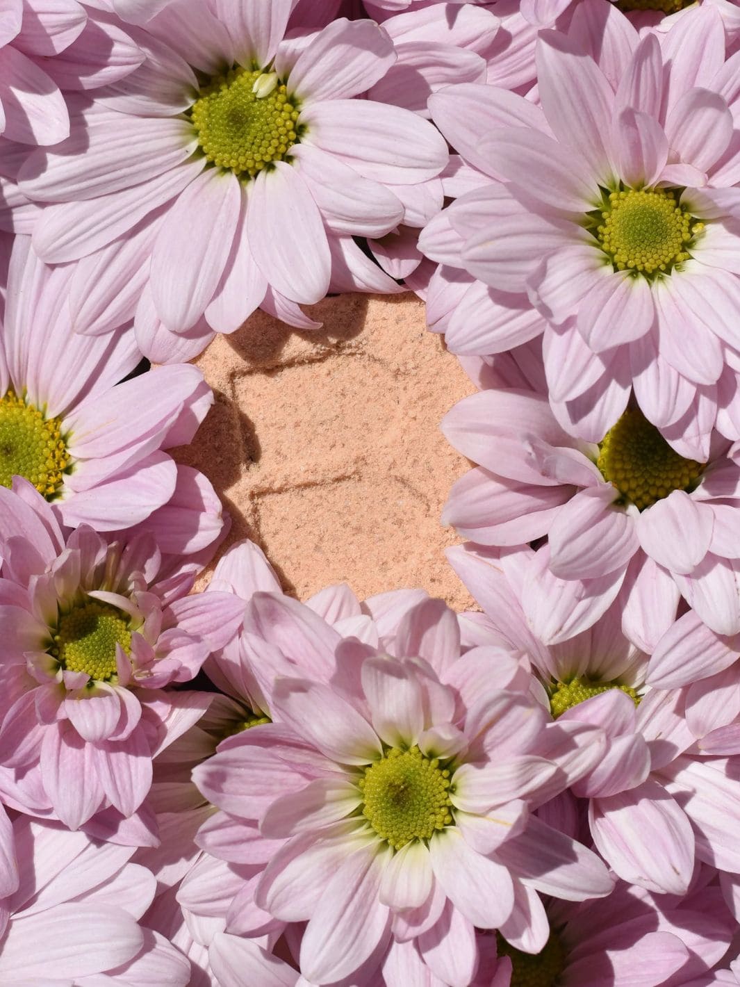 CALM Bath Bomb - Image 3