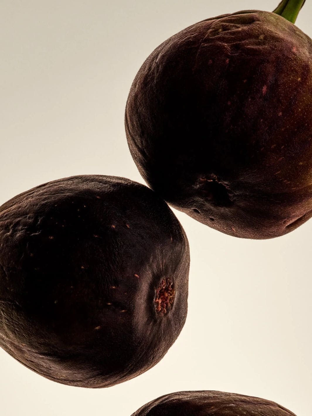 Cassis – Perfume Oil - Image 3