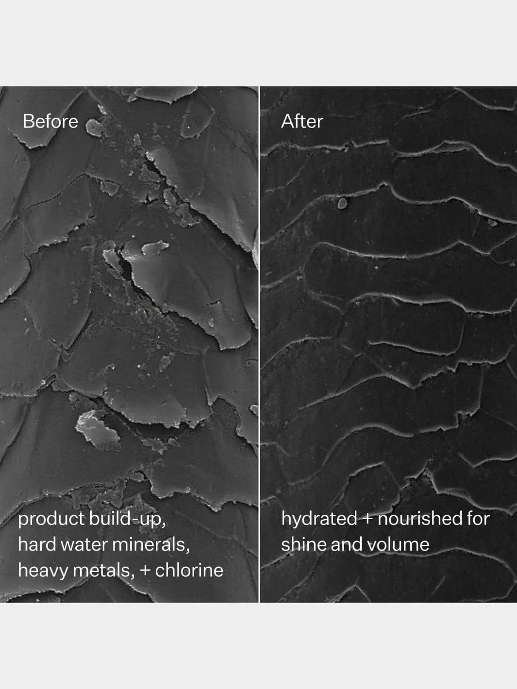 Clarifying Hard Water Shampoo - Image 4