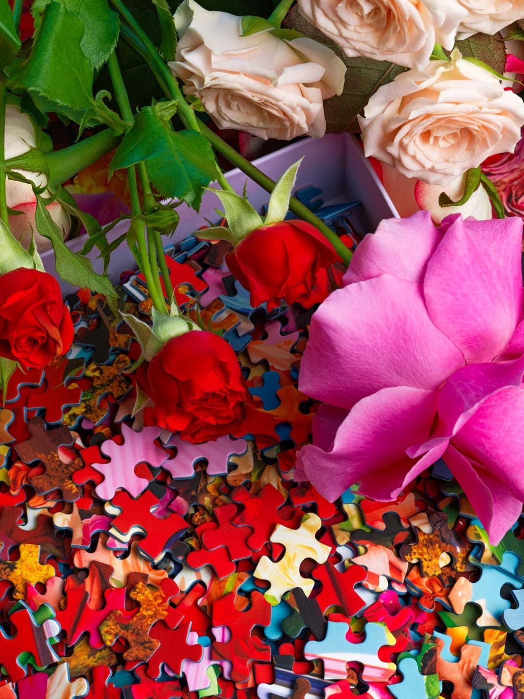 Coming Up Roses - 1000 Piece Puzzle - Image 5