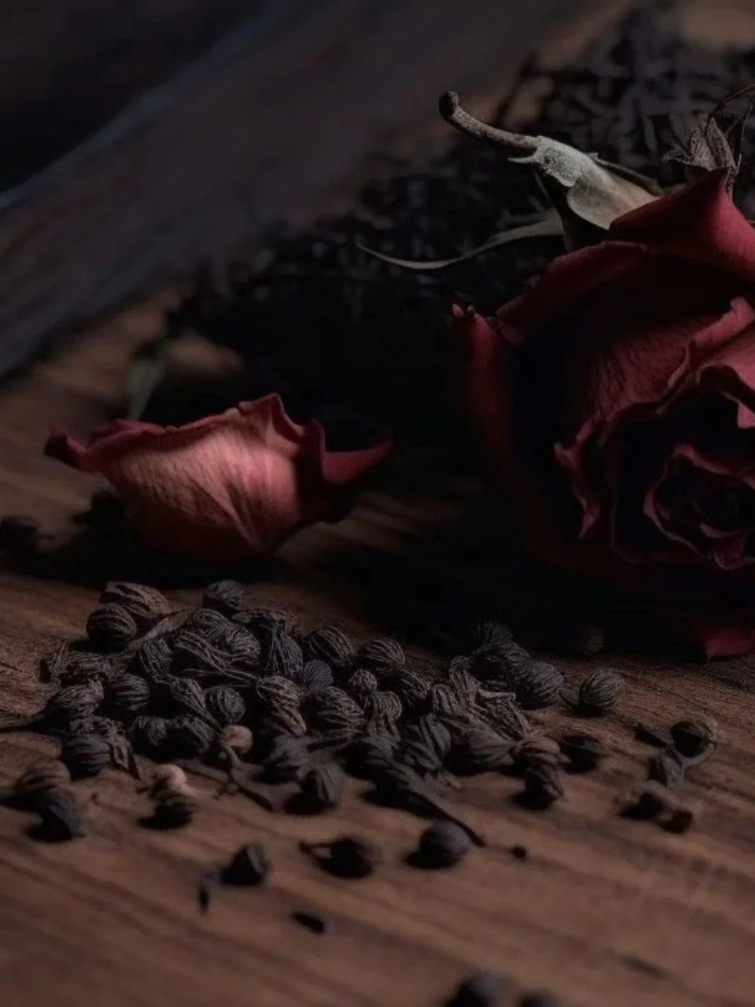 Coming Up Roses - Petite - Image 5
