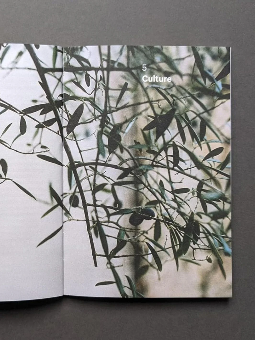 Do Pause: You Are Not a To Do List - Image 4