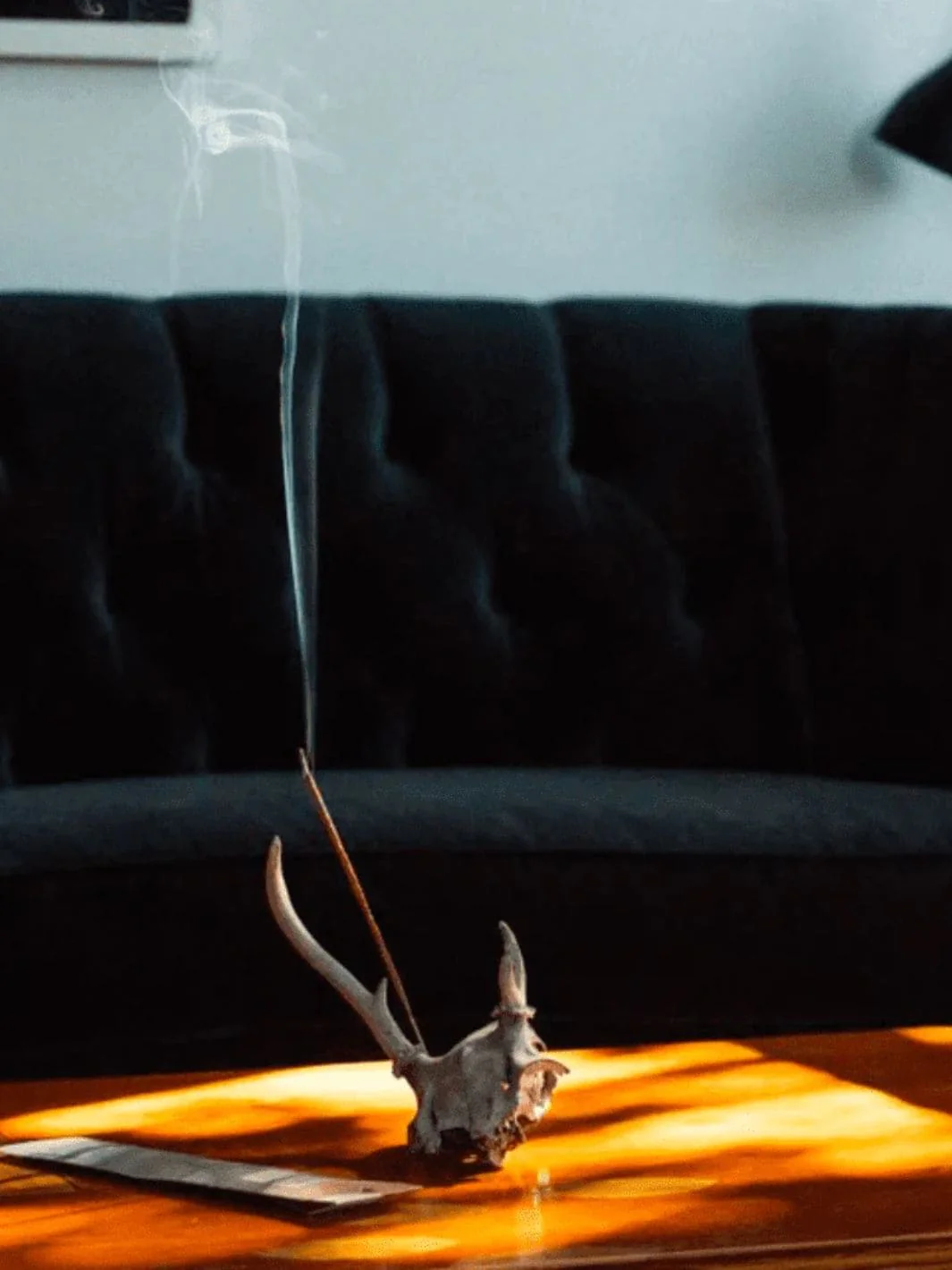 Douglas Fir Campfire Incense - Image 2
