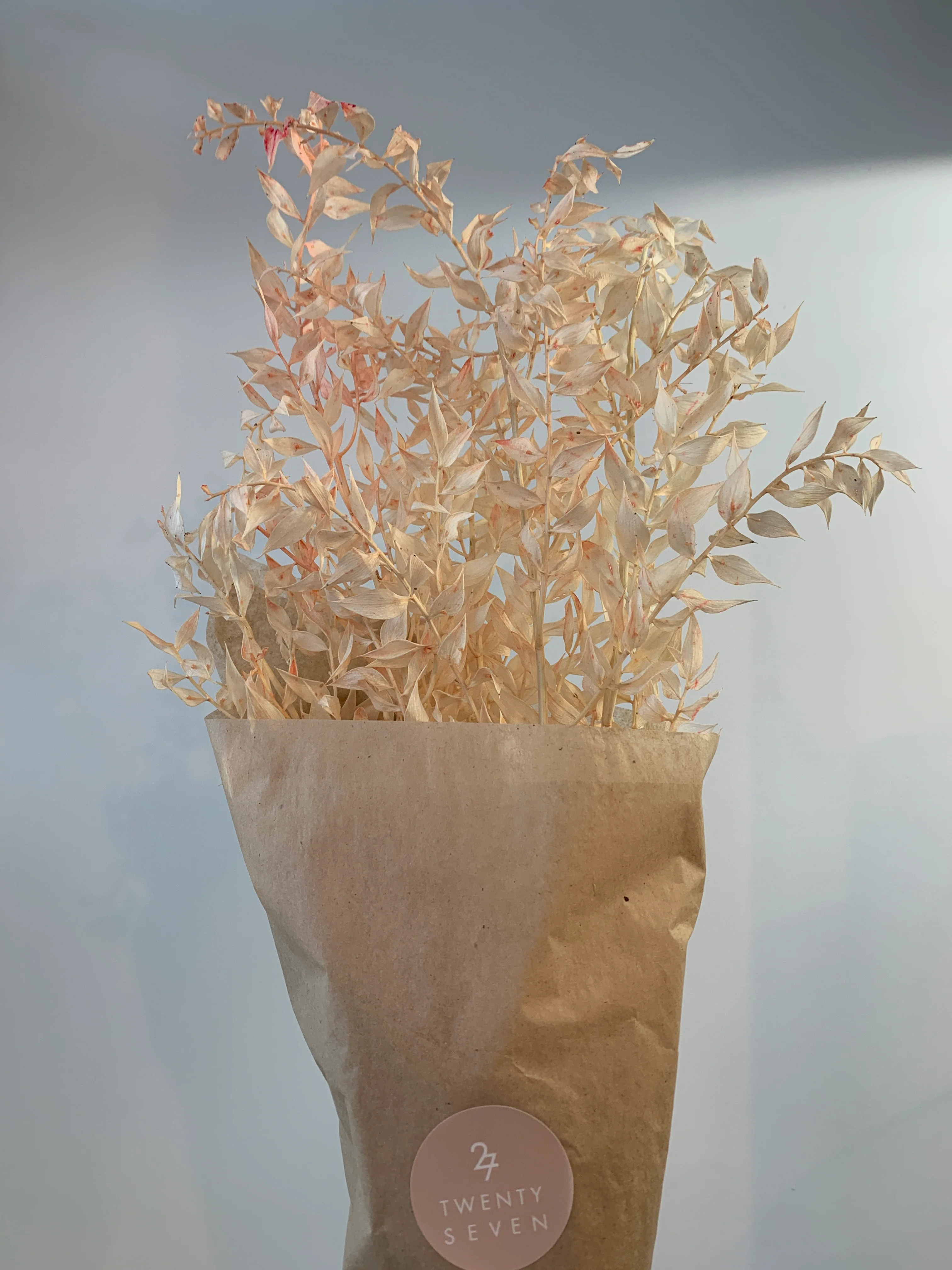 Dried Flowers - Image 12
