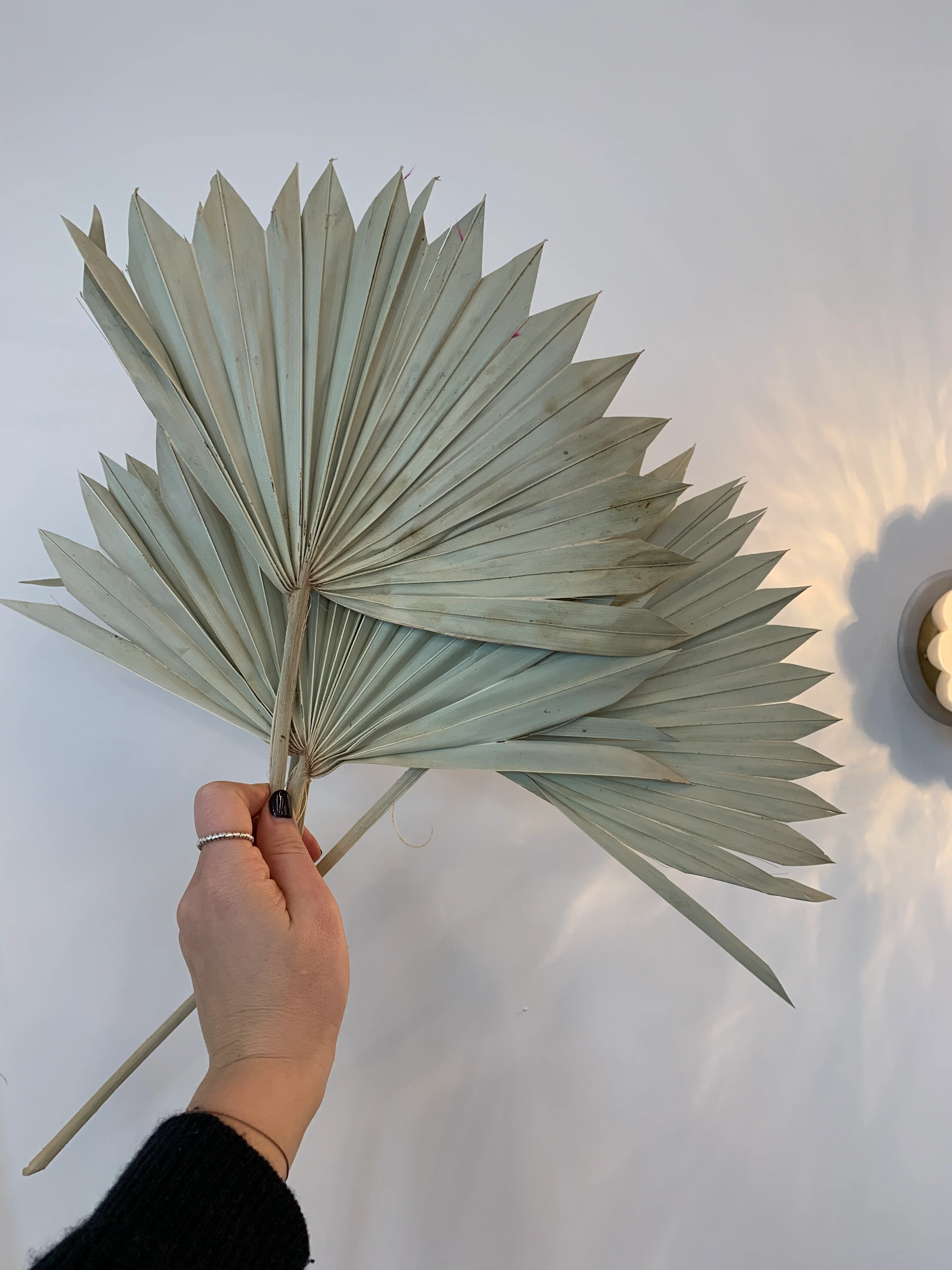 Dried Flowers - Image 15
