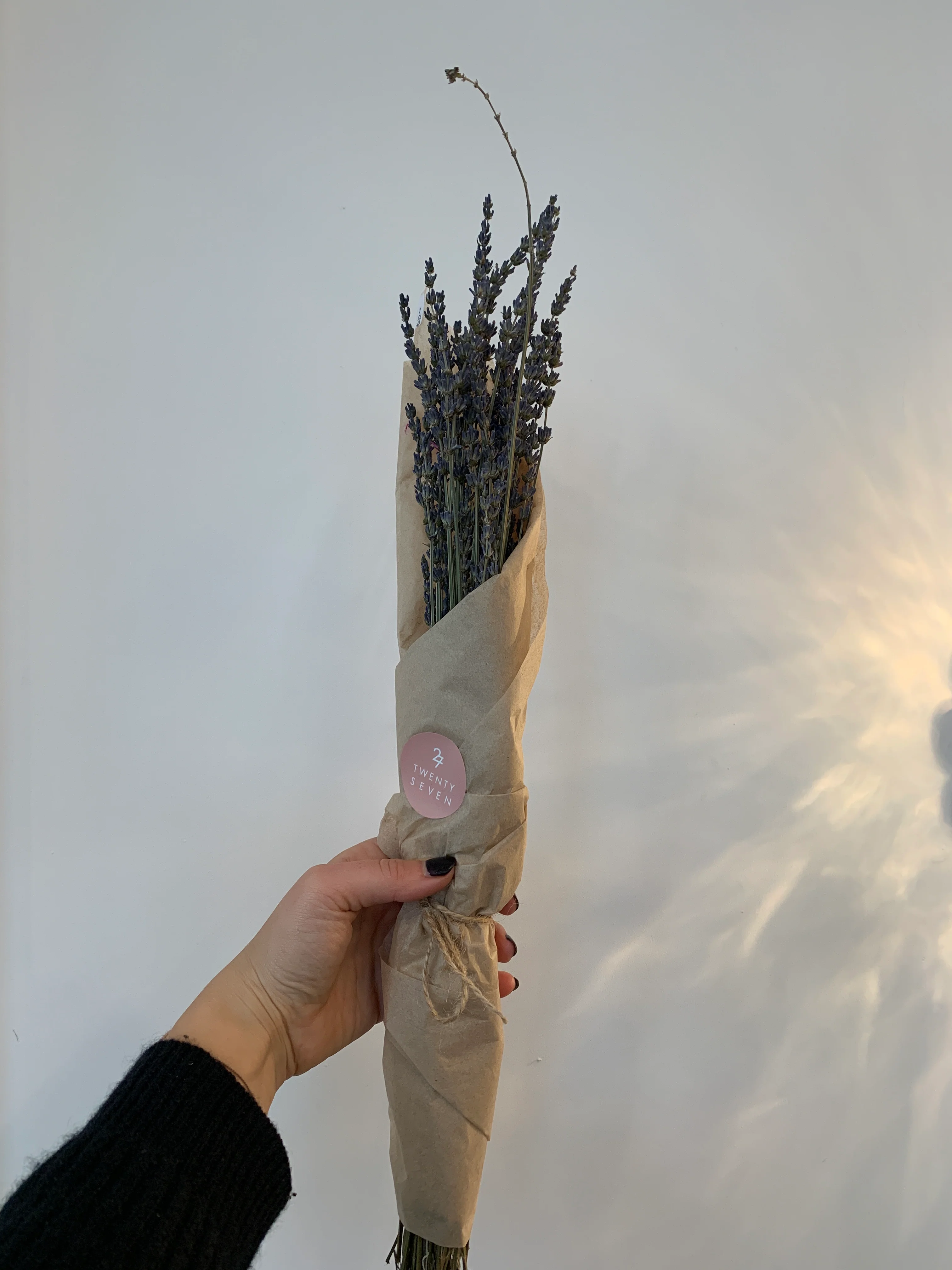 Dried Flowers - Image 17