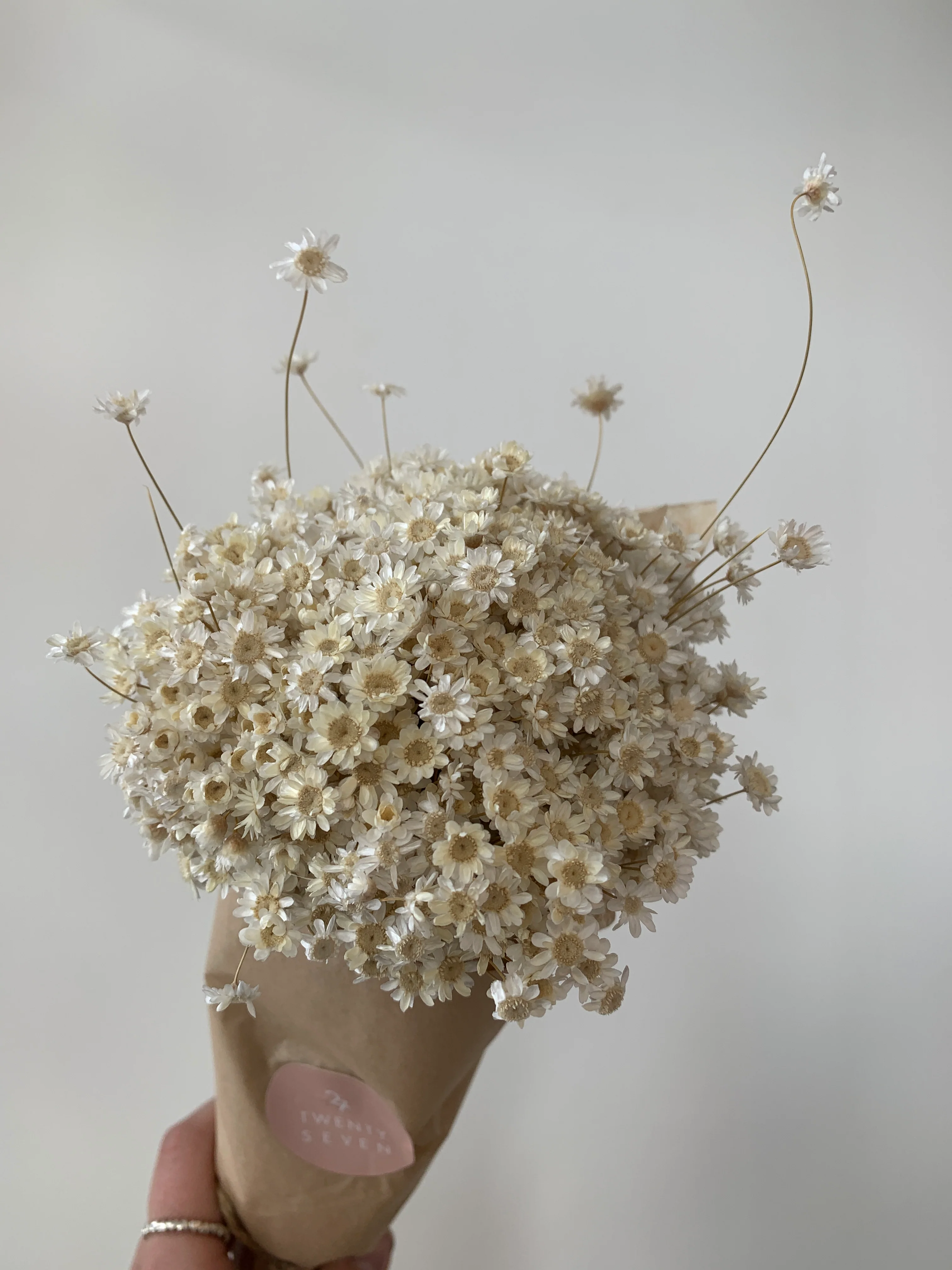 Dried Flowers - Image 20