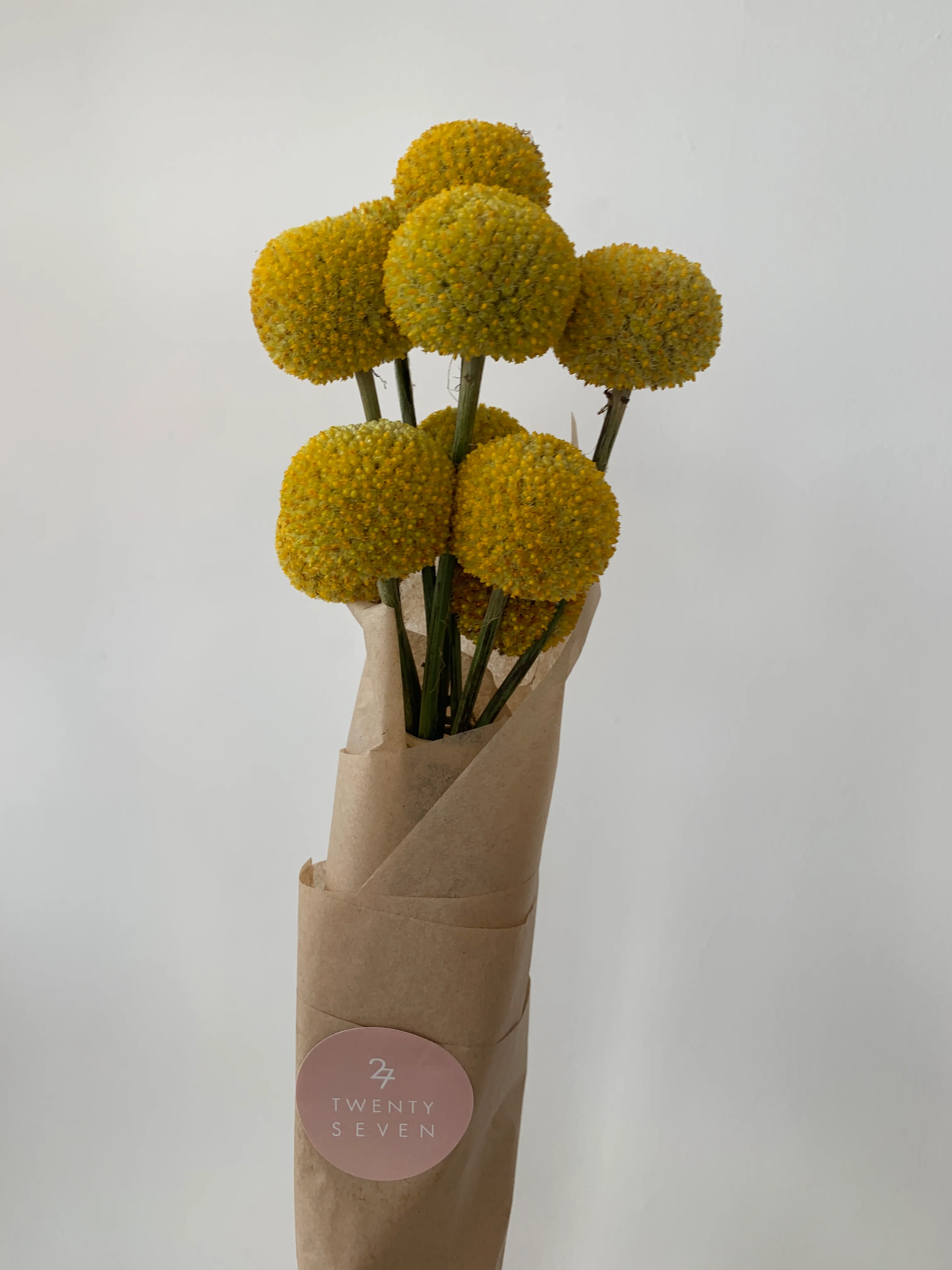 Dried Flowers - Image 22