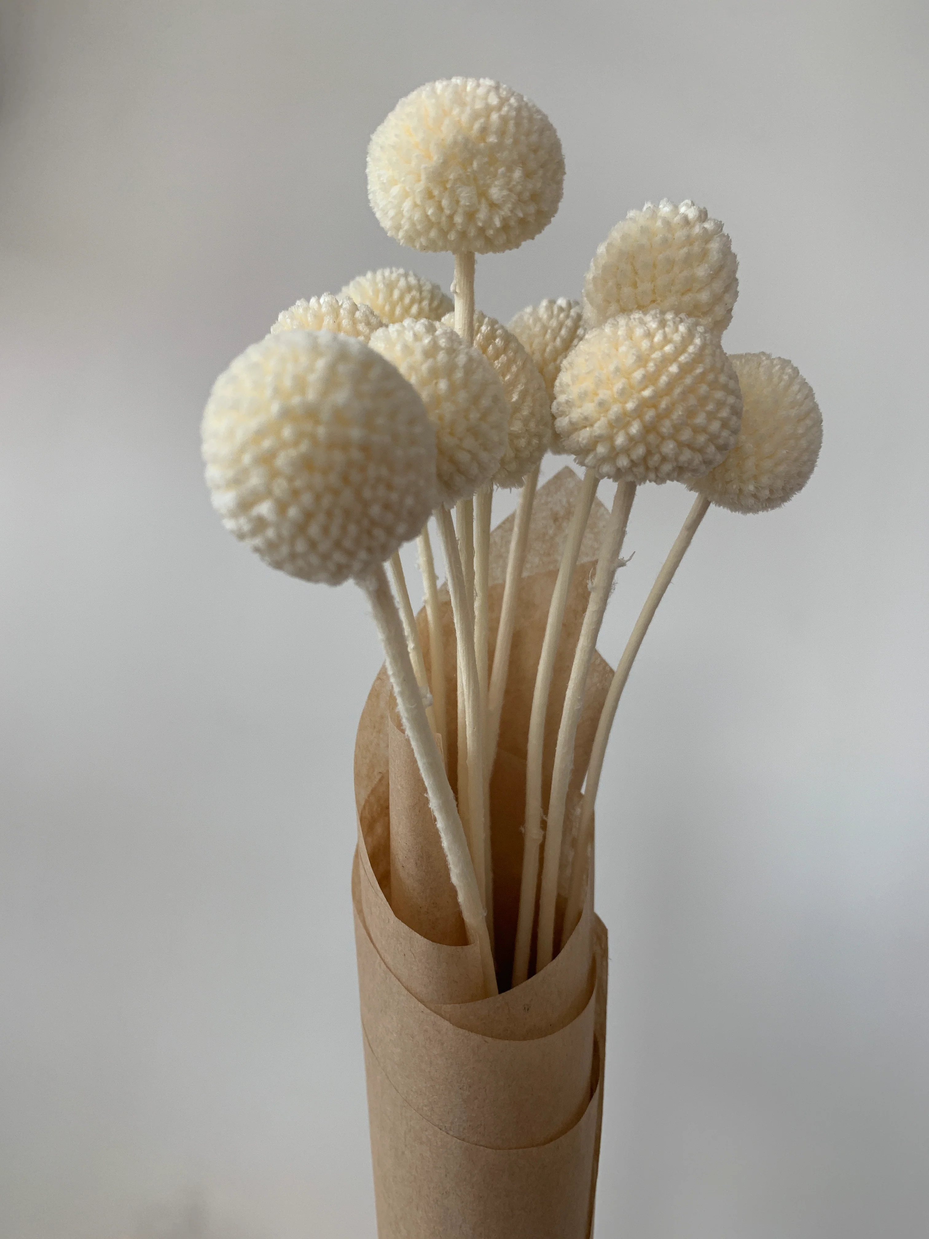 Dried Flowers - Image 25