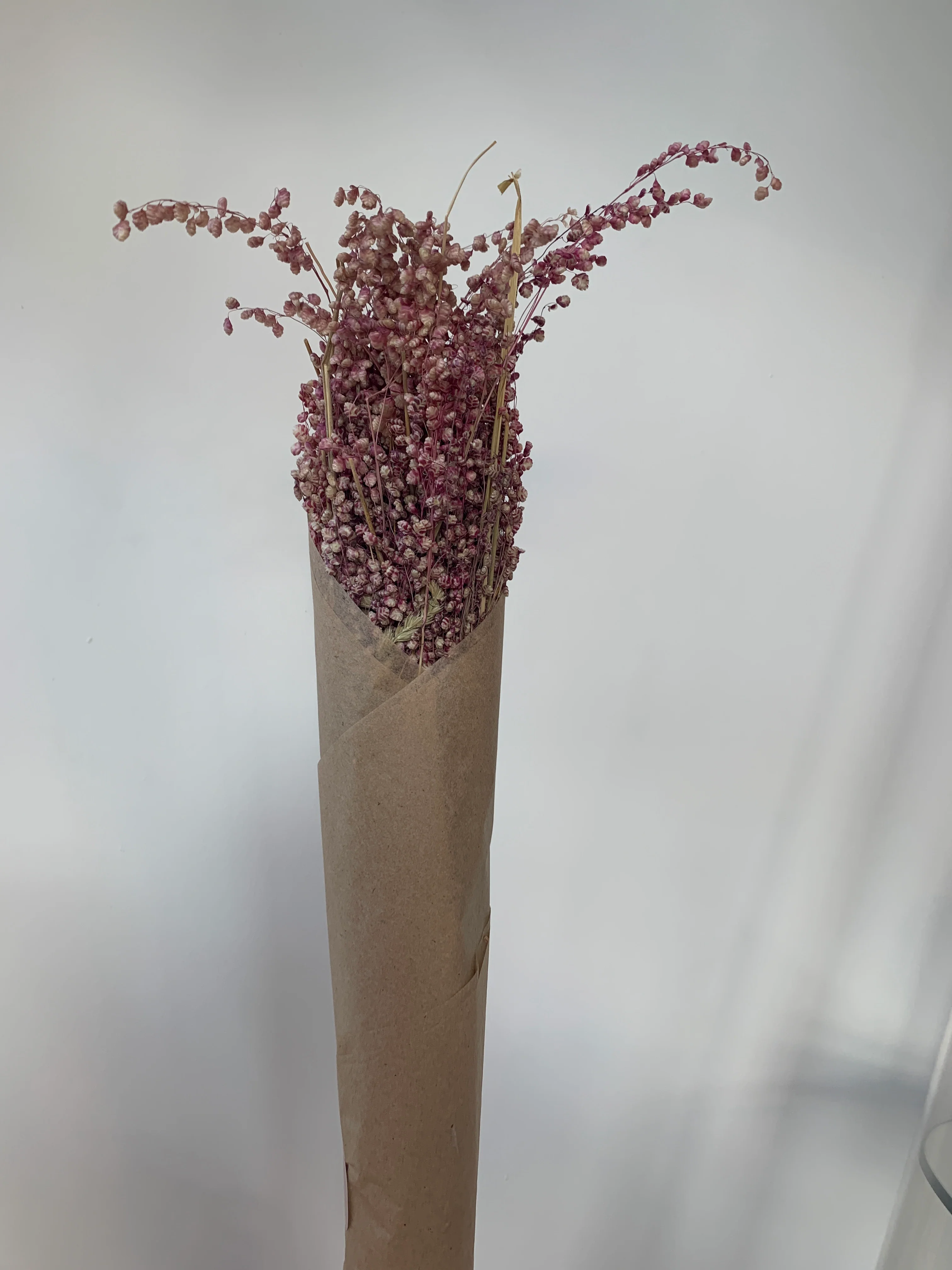 Dried Flowers - Image 28