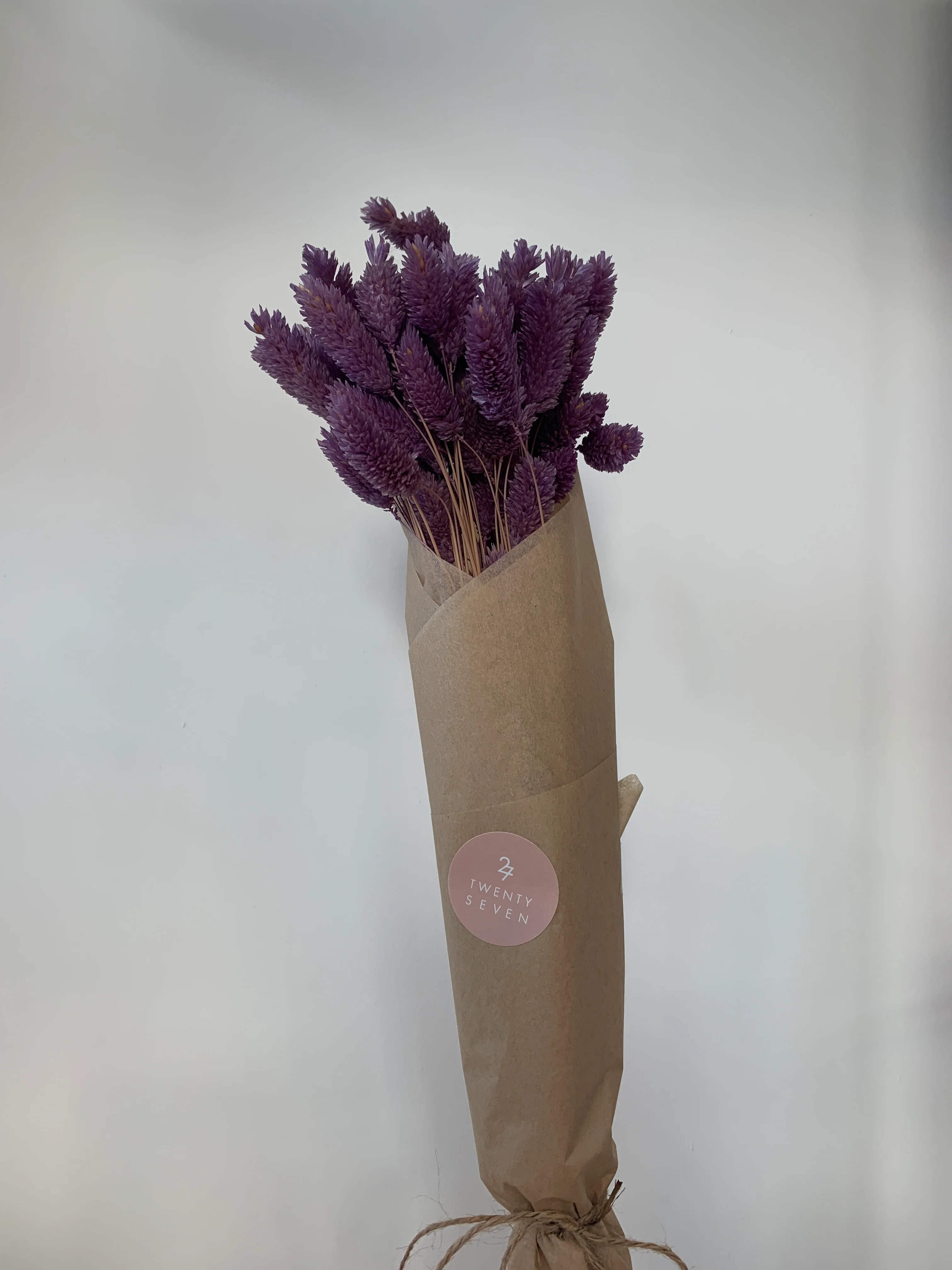 Dried Flowers - Image 29