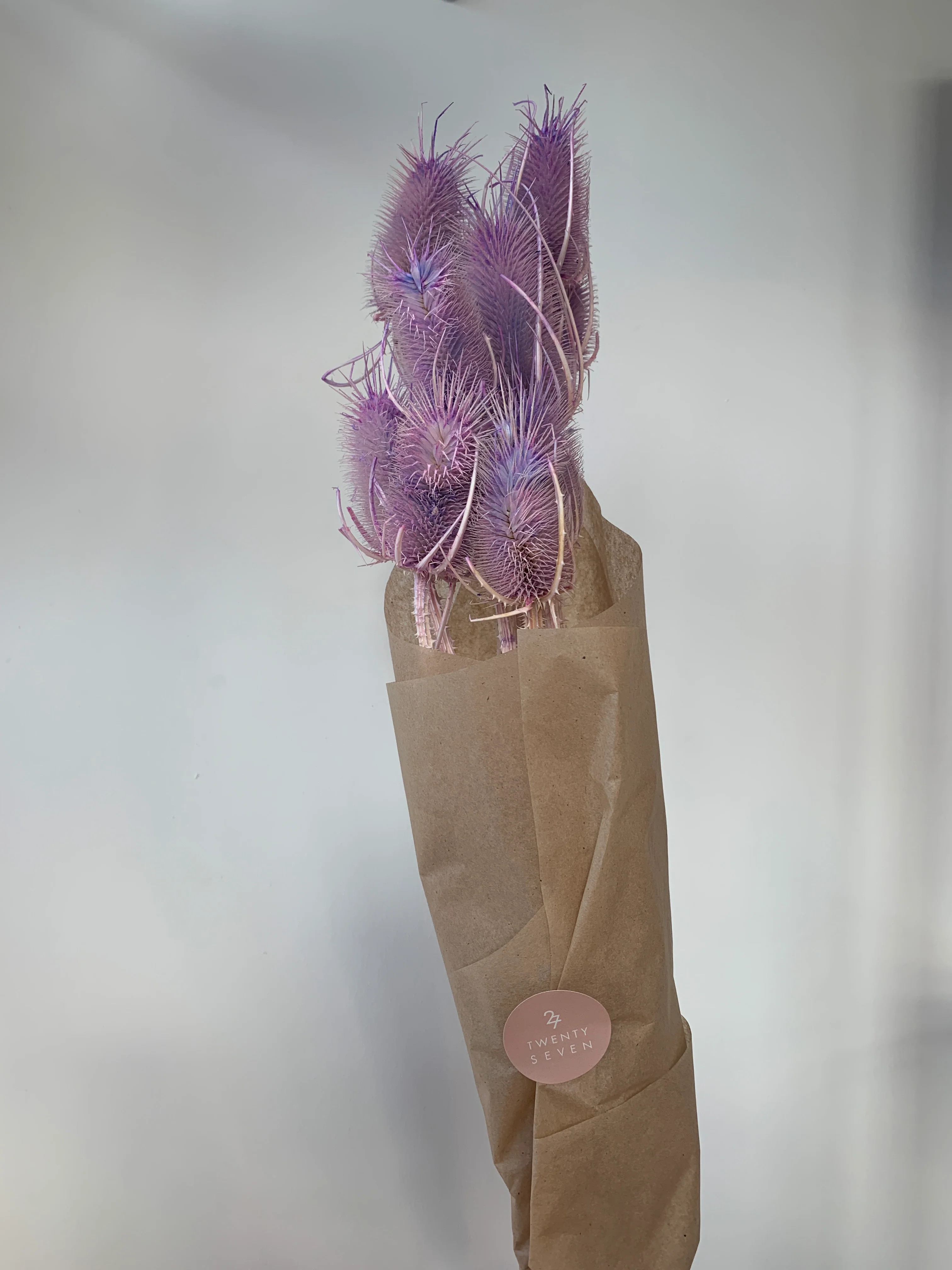 Dried Flowers - Image 30