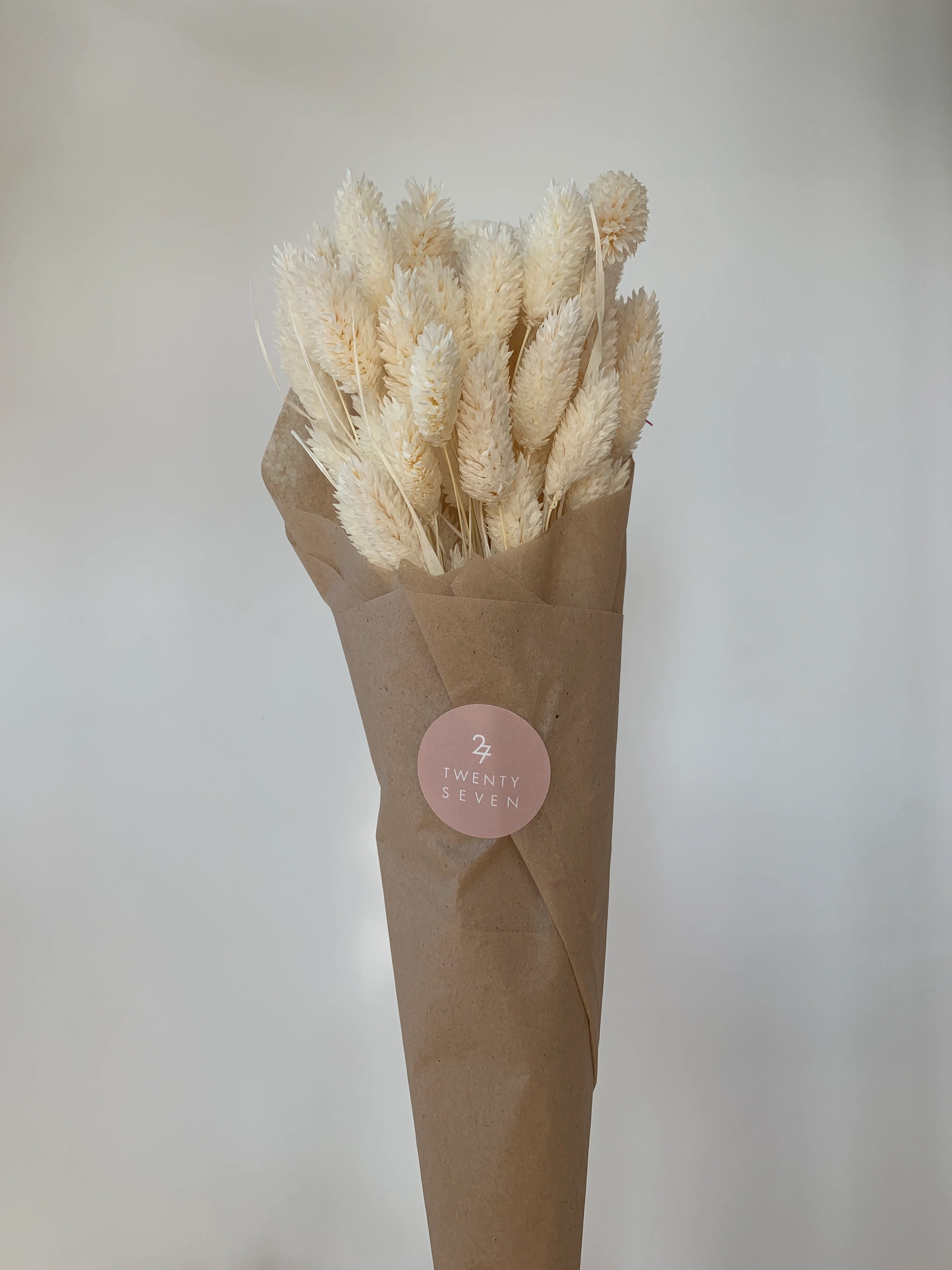 Dried Flowers - Image 32