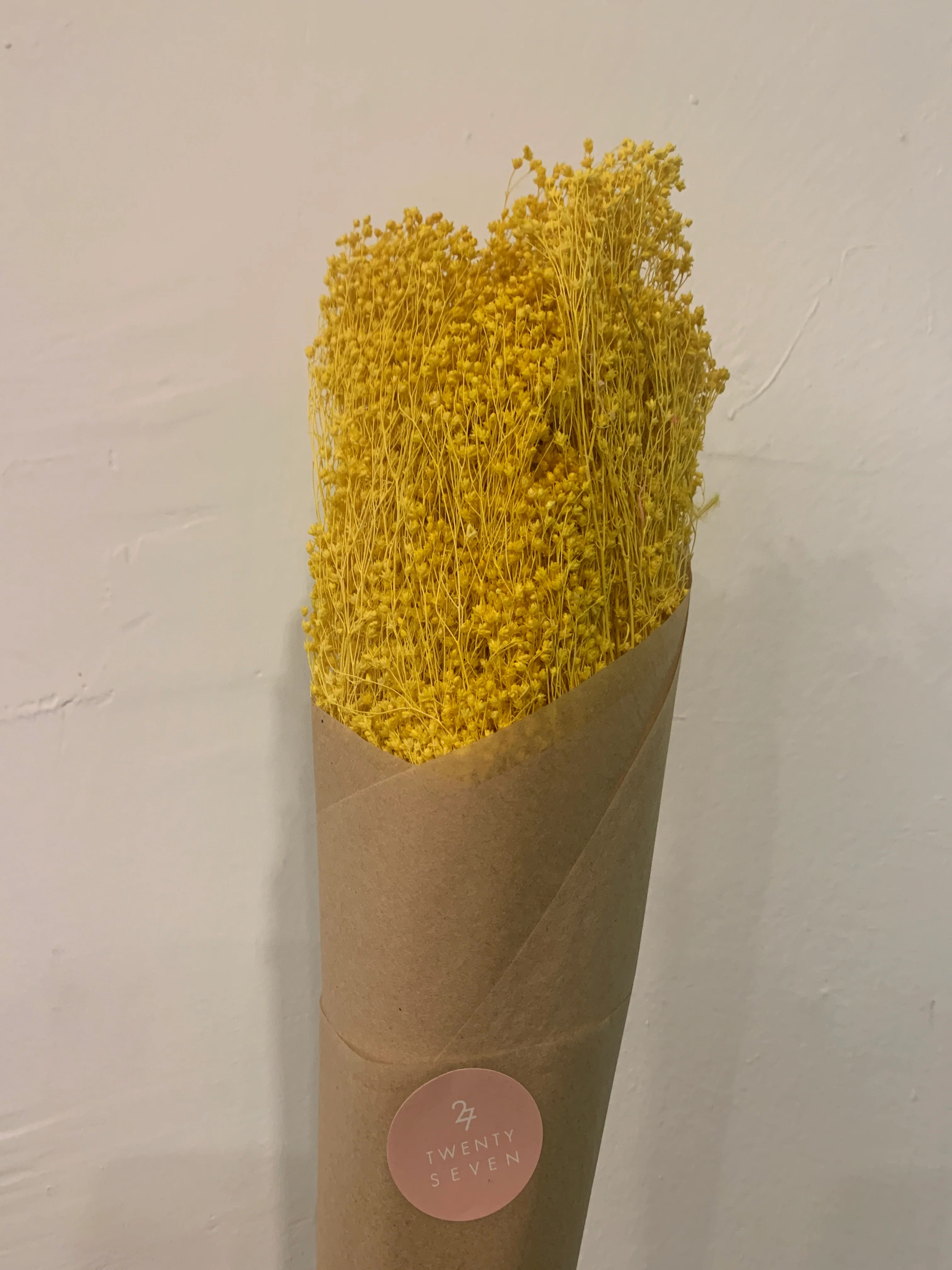 Dried Flowers - Image 35