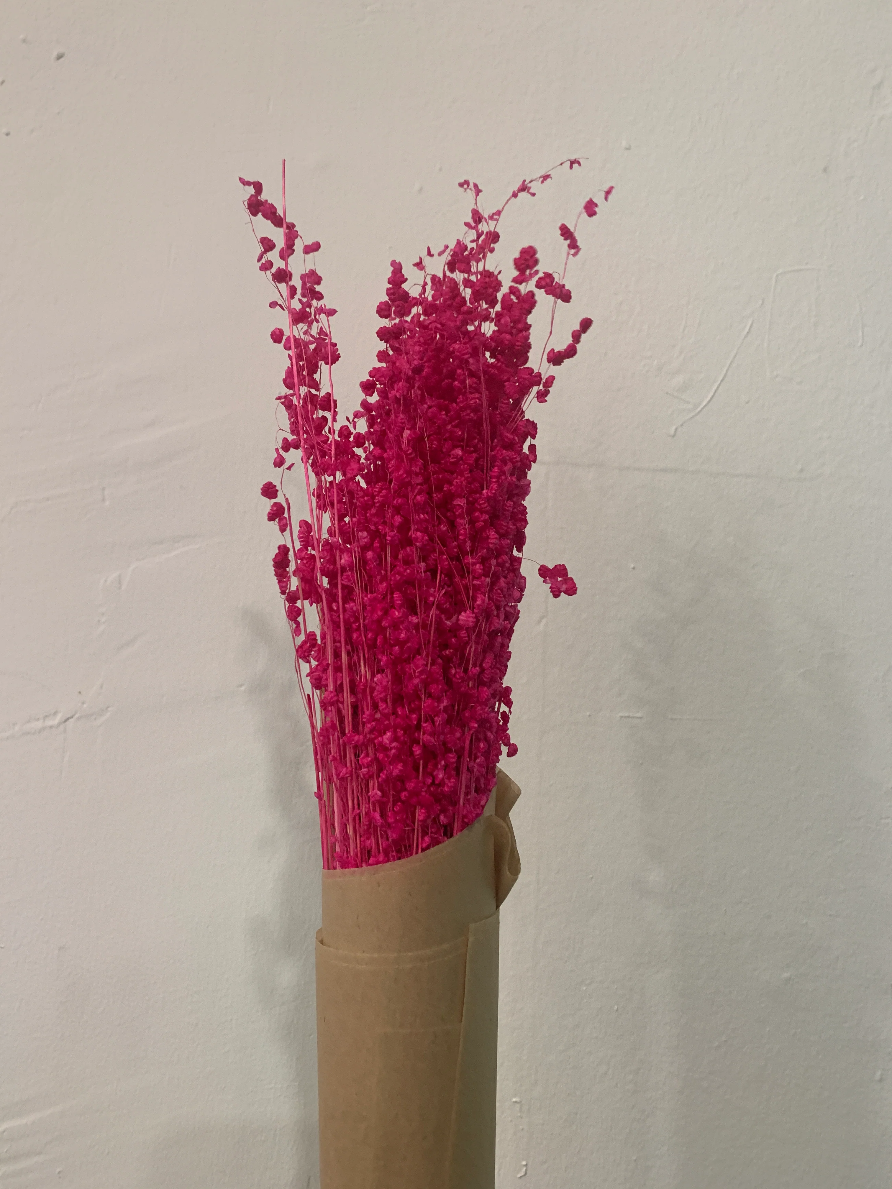 Dried Flowers - Image 36
