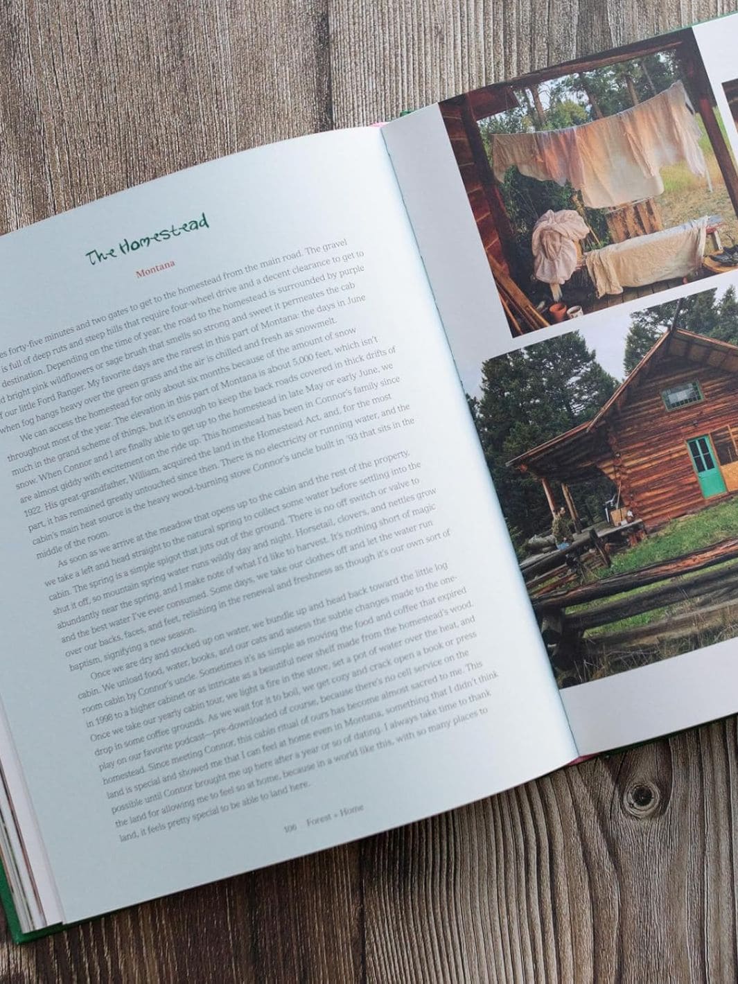 Forest + Home: Cultivating an Herbal Kitchen - Image 4