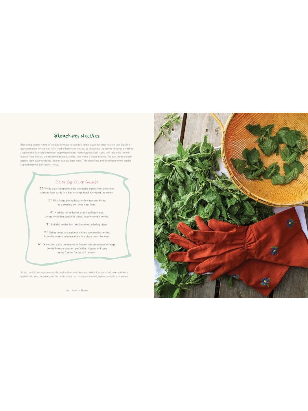 Forest + Home: Cultivating an Herbal Kitchen - Image 7