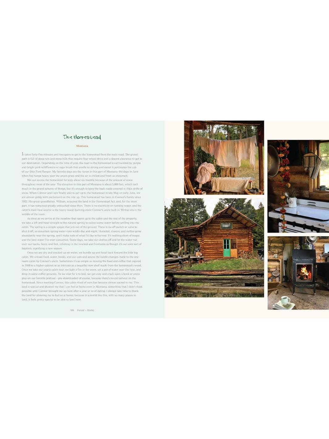 Forest + Home: Cultivating an Herbal Kitchen - Image 8