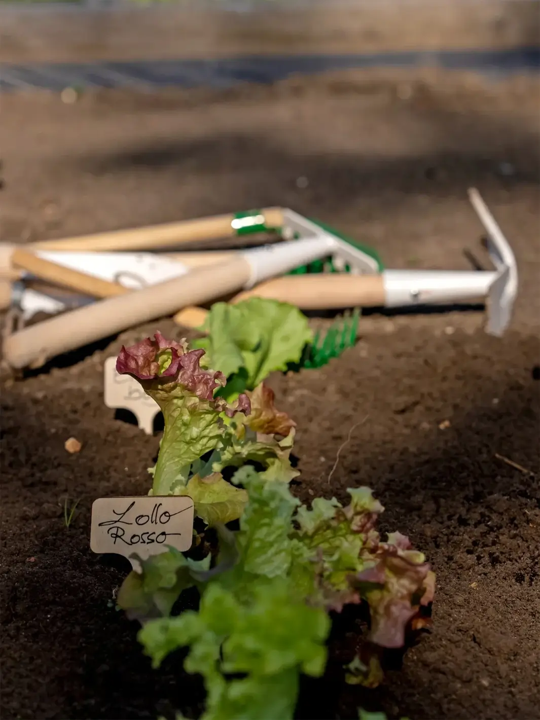 Gardening Tools - Image 3