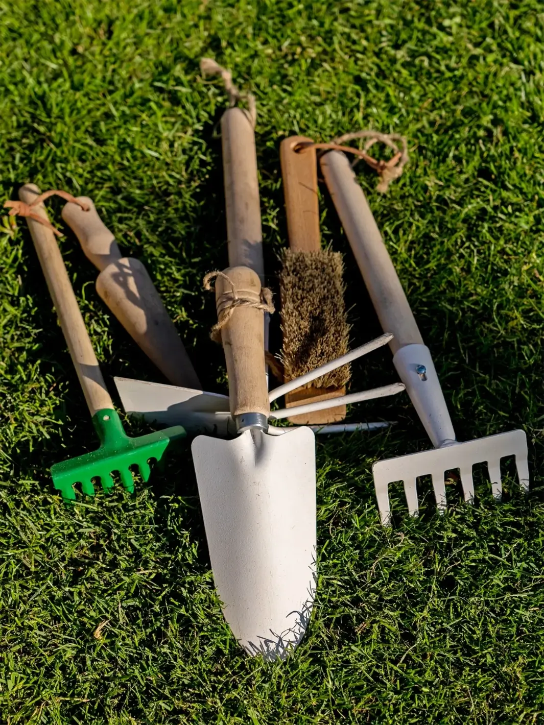 Gardening Tools - Image 4