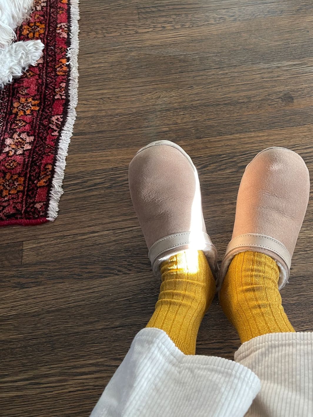 Her Socks (MODAL Lurex) - Mustard Glitter - Image 3