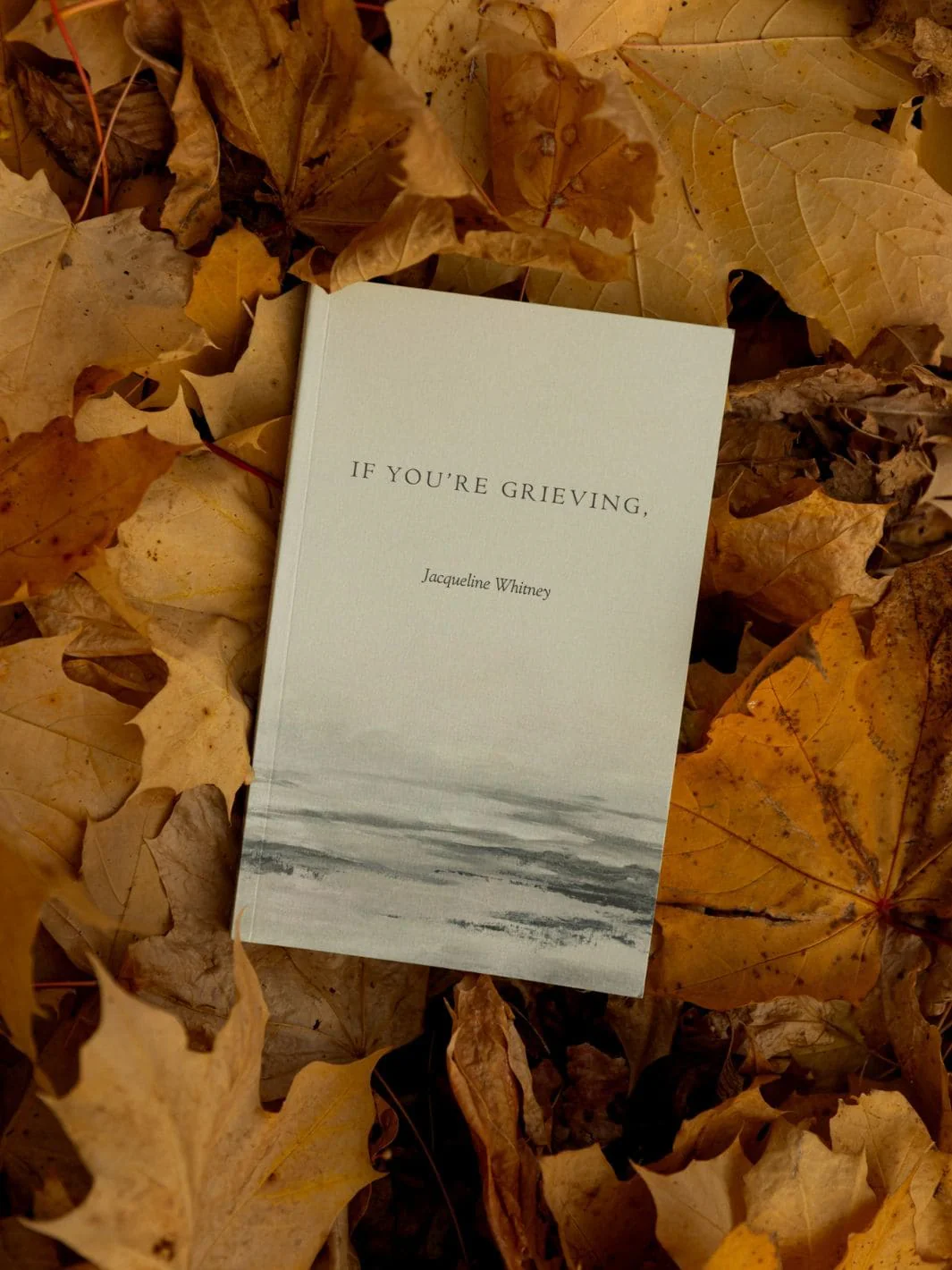 If You’re Grieving, - Image 4