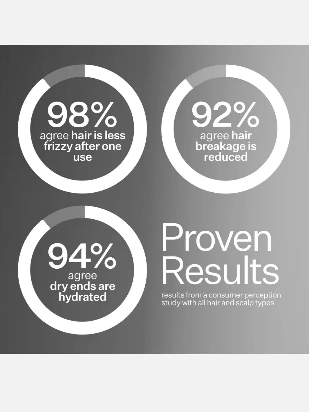 Anti-Frizz Leave In Conditioner - Image 4