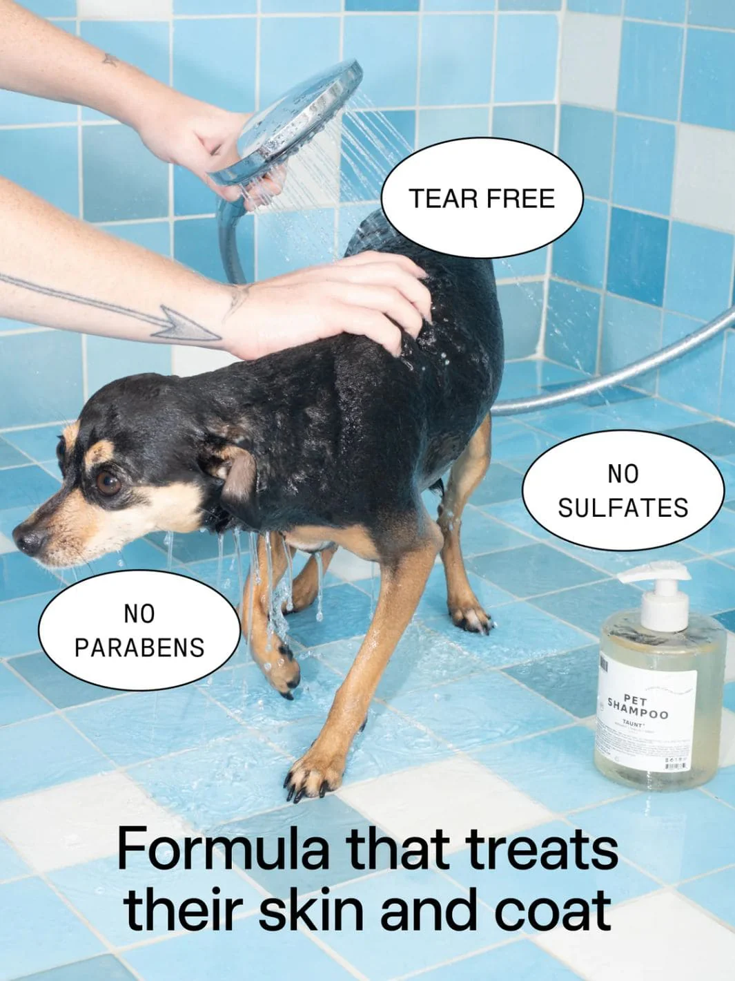 Pet Shampoo 01 "Taunt" - Image 3