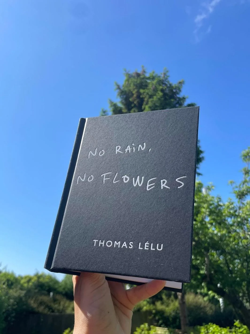 No Rain, No Flowers - Image 2
