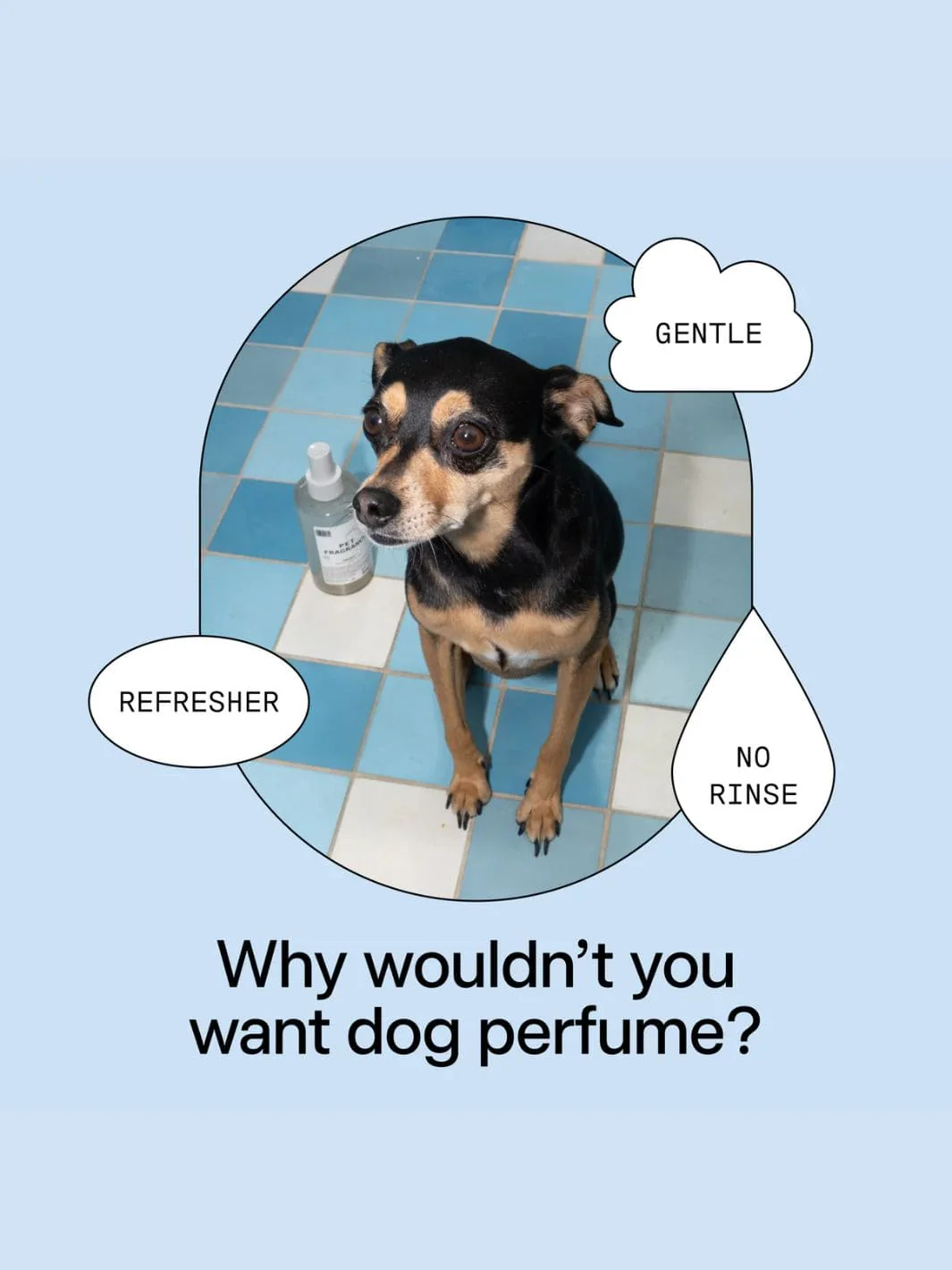 Pet Fragrance 01 "Taunt" - Image 5