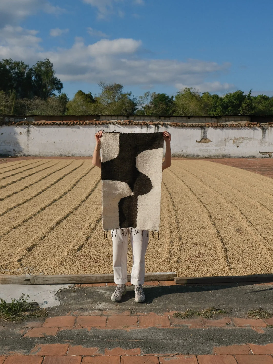 Petita Remolino - Image 2