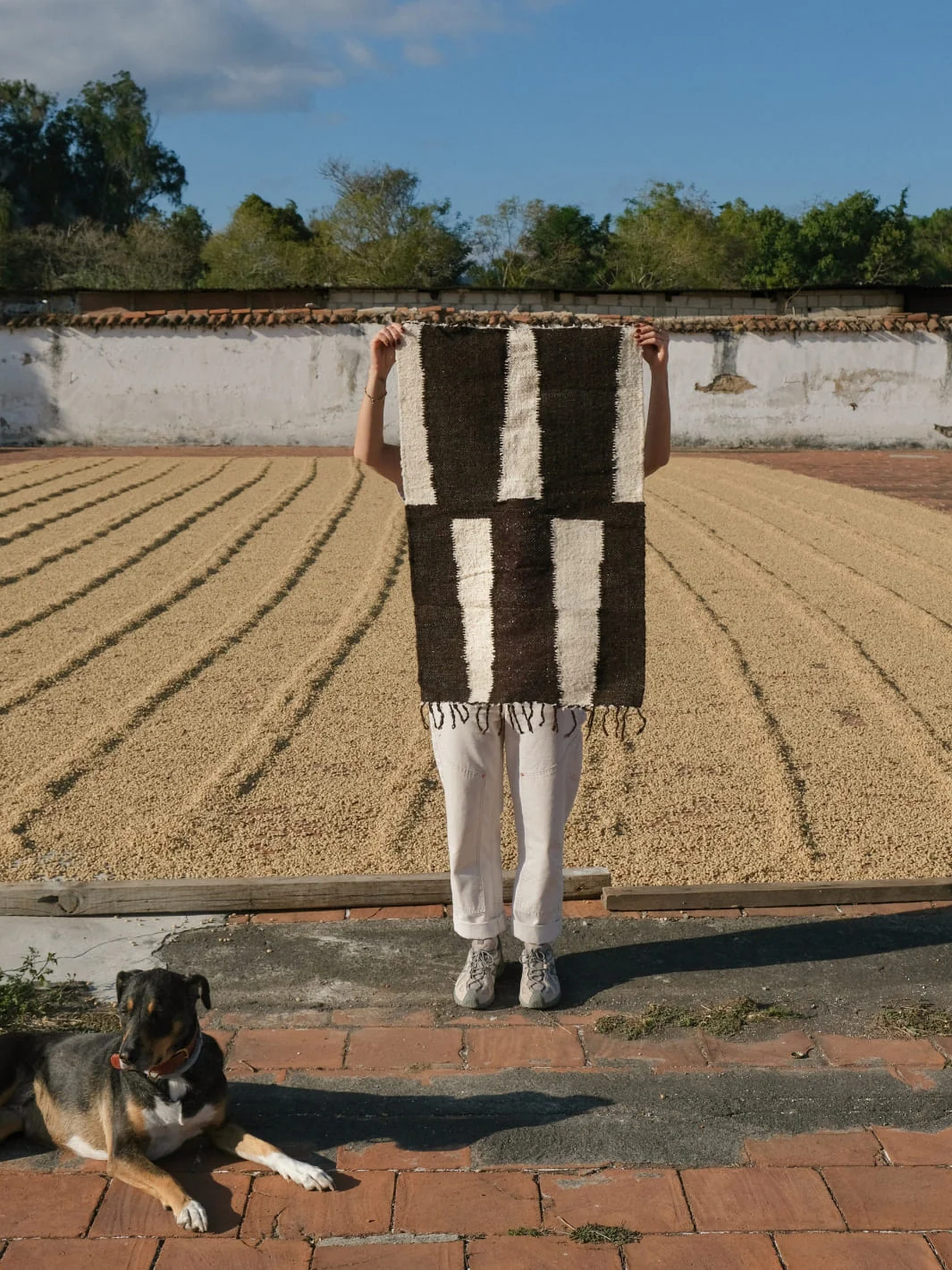 Petita Sholca - Image 2