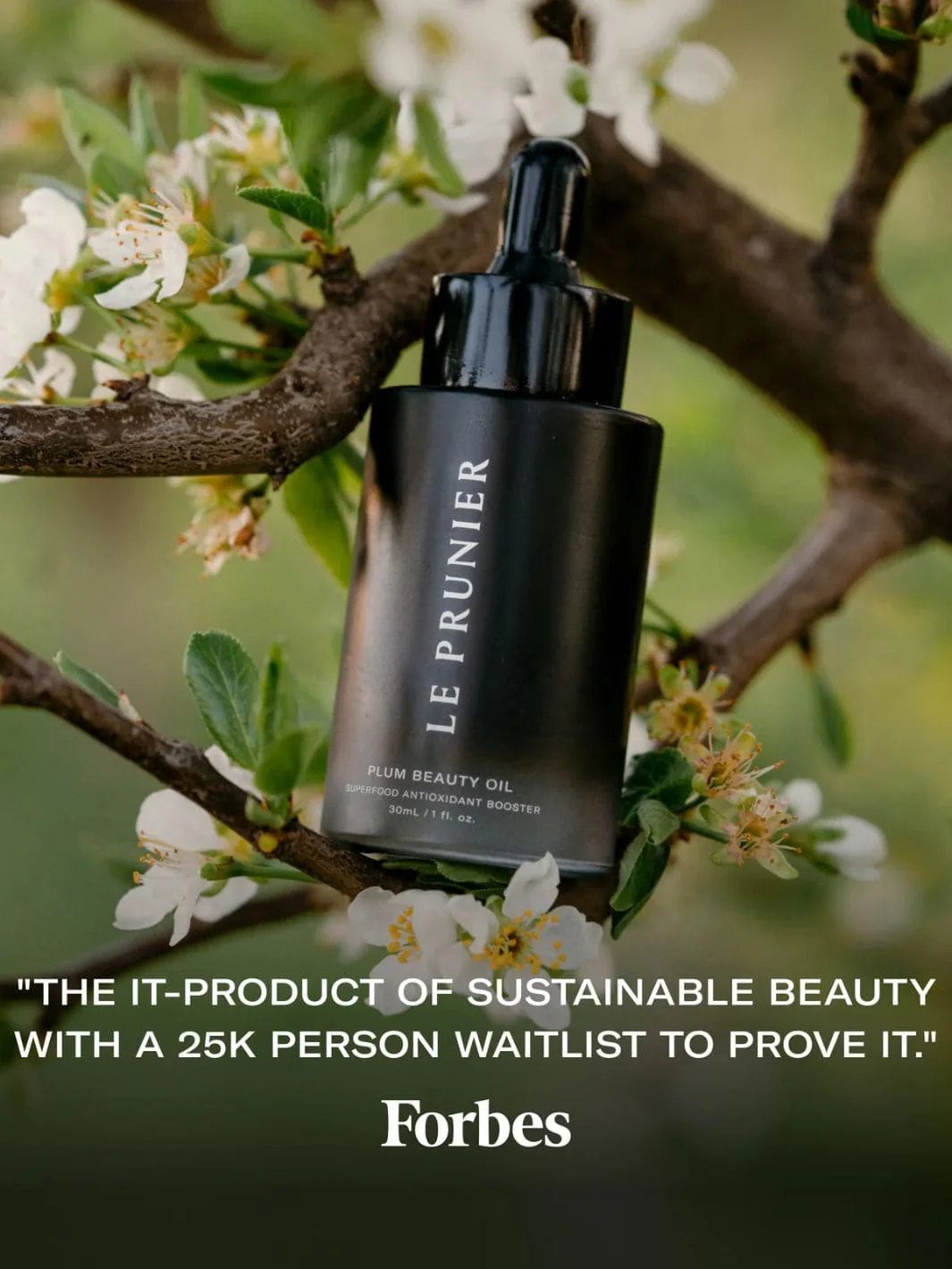 Plum Beauty Oil - Image 4