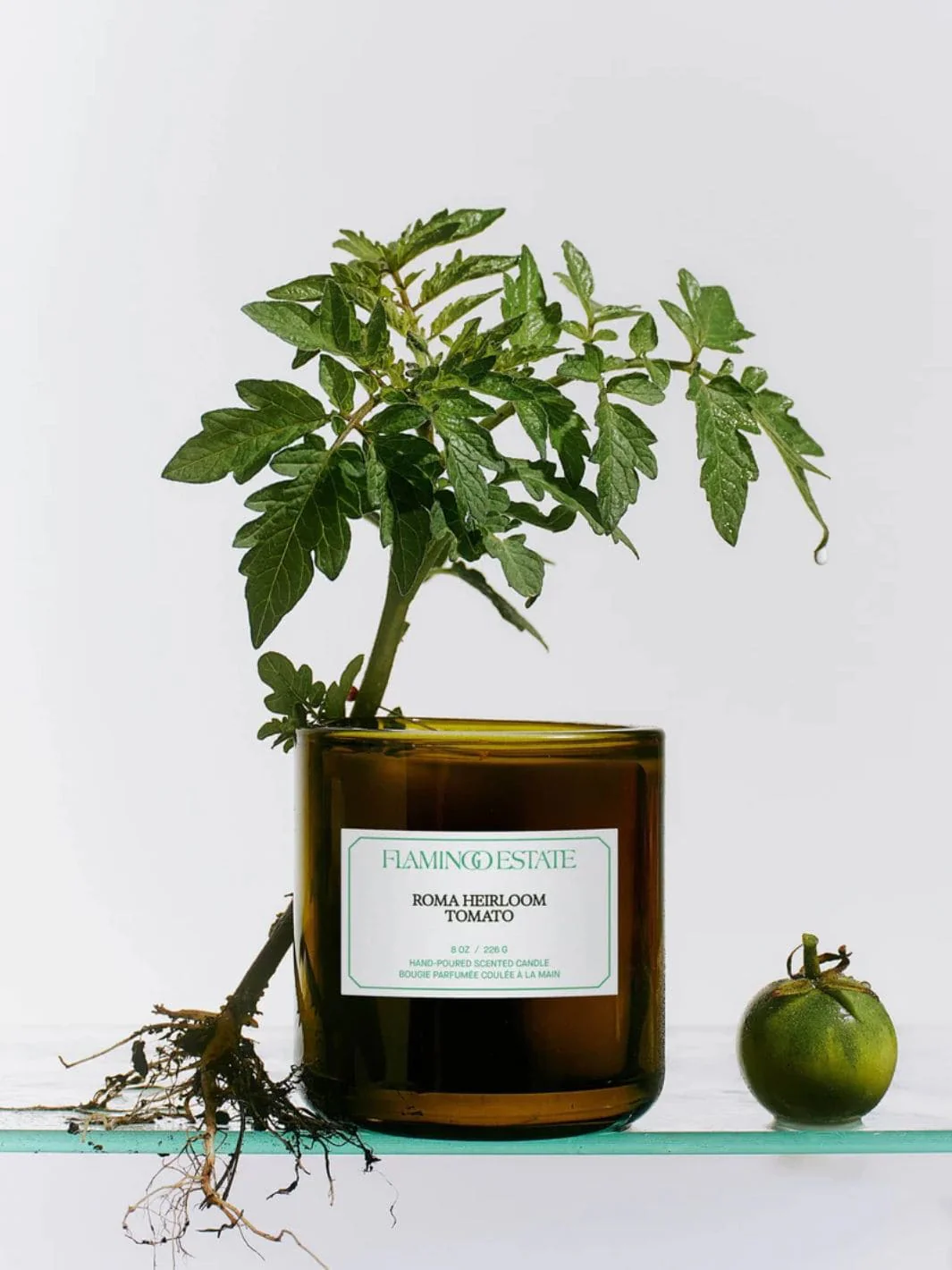 Roma Heirloom Tomato Candle - Image 2