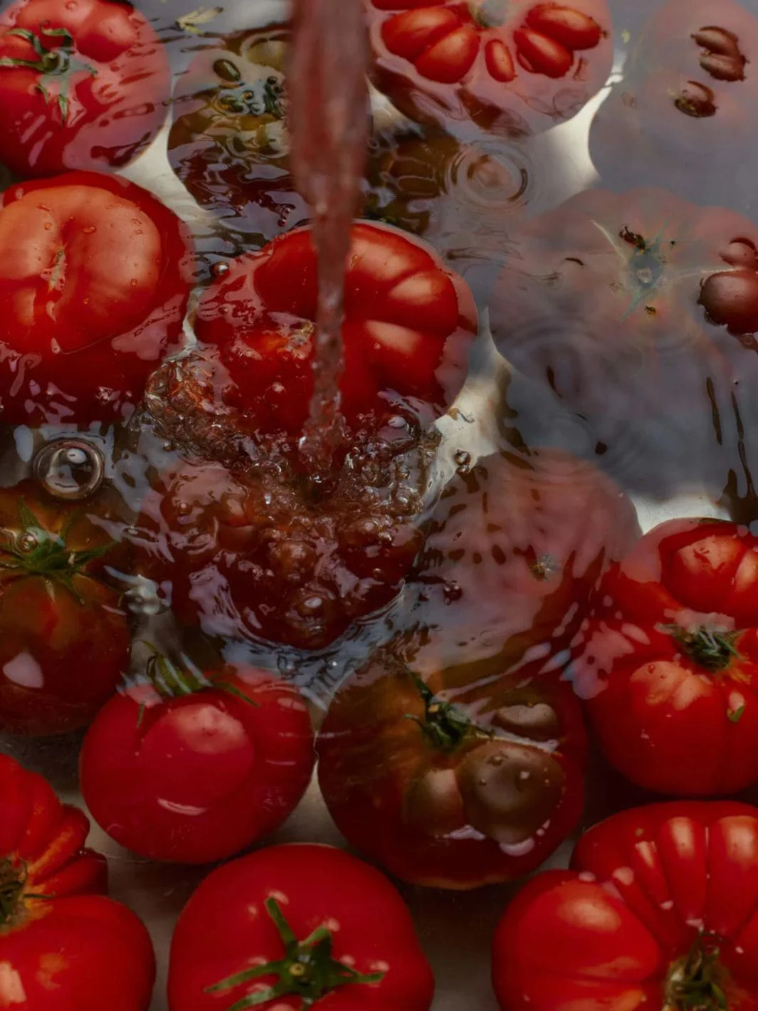 Roma Heirloom Tomato Hand Soap - Image 9