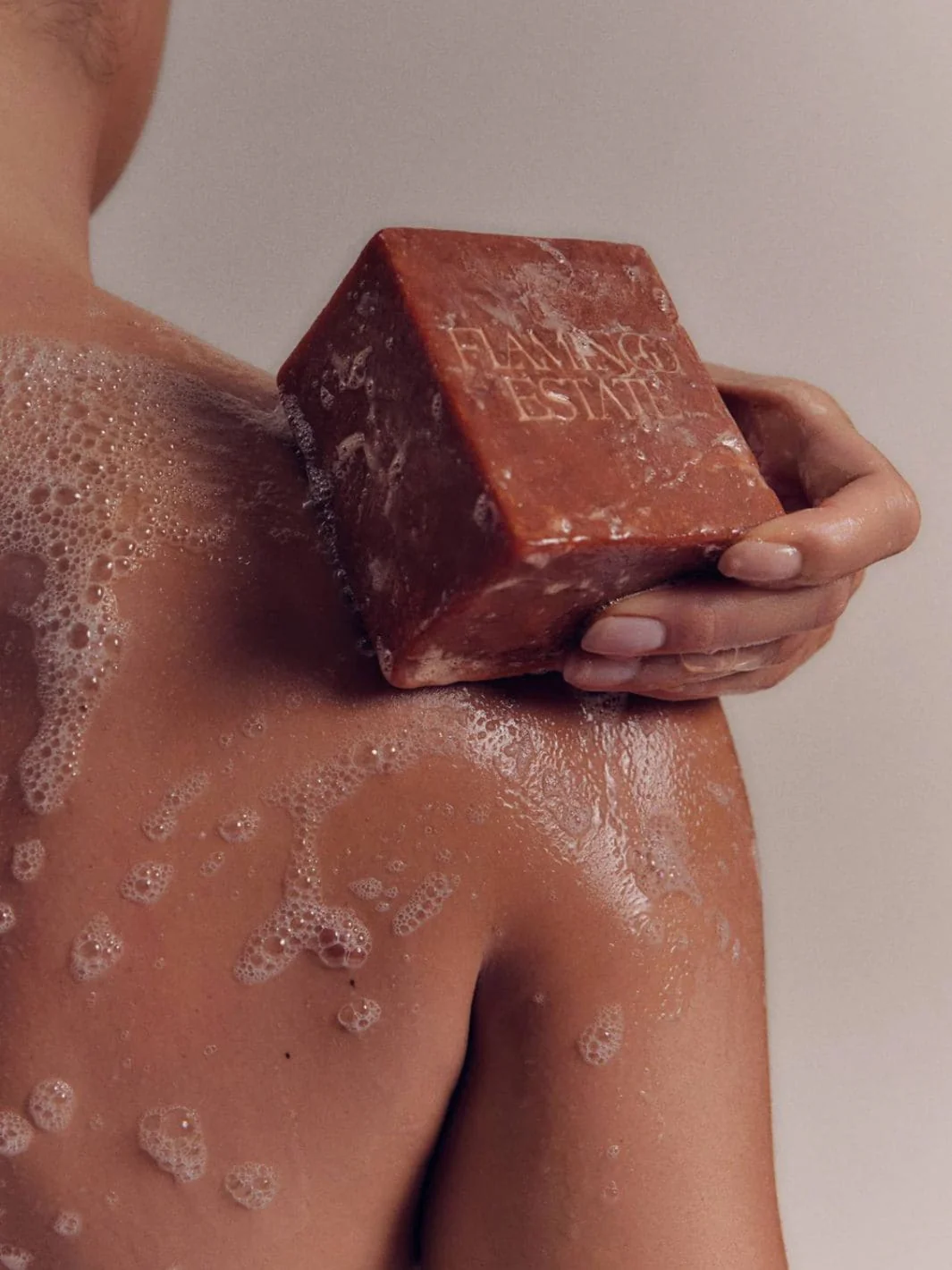 Roma Heirloom Tomato Soap Brick - Image 4