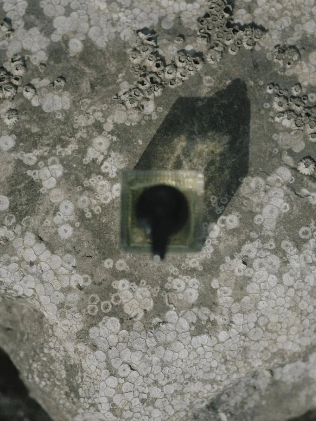 Shave Oil - Image 7