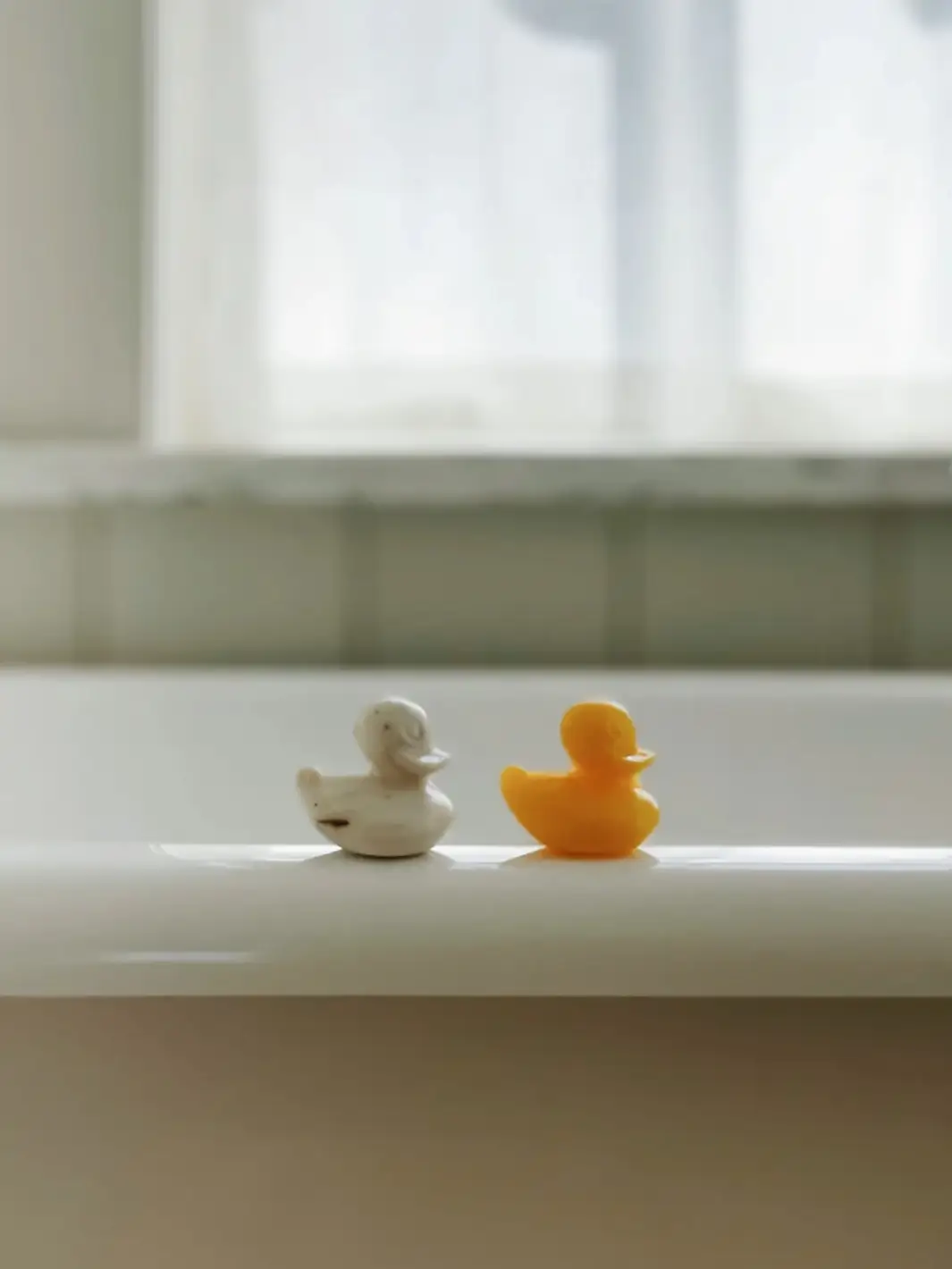 Sheep's Milk Soap - Duckling - Image 6