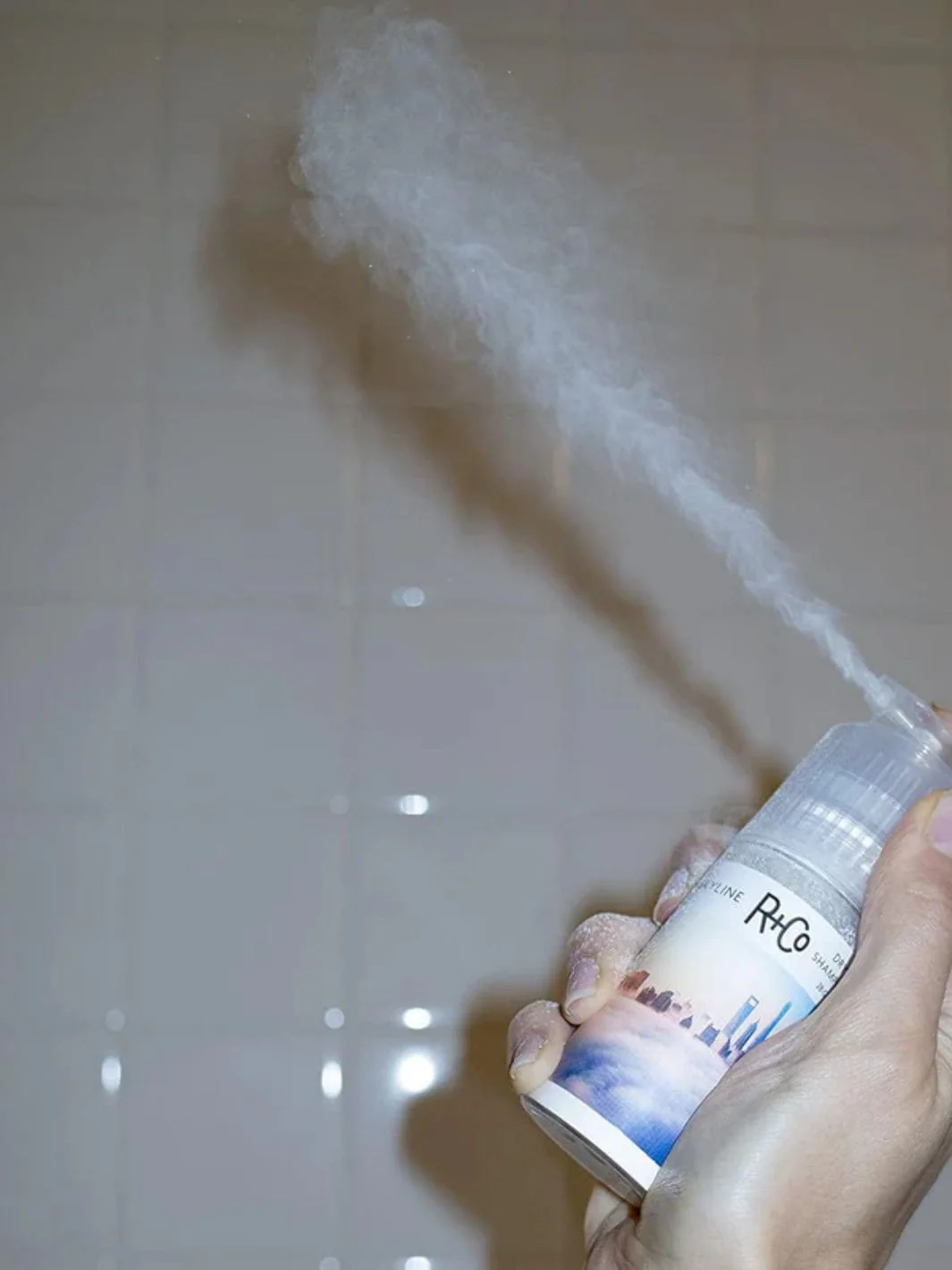 SKYLINE Dry Shampoo Powder - Image 2