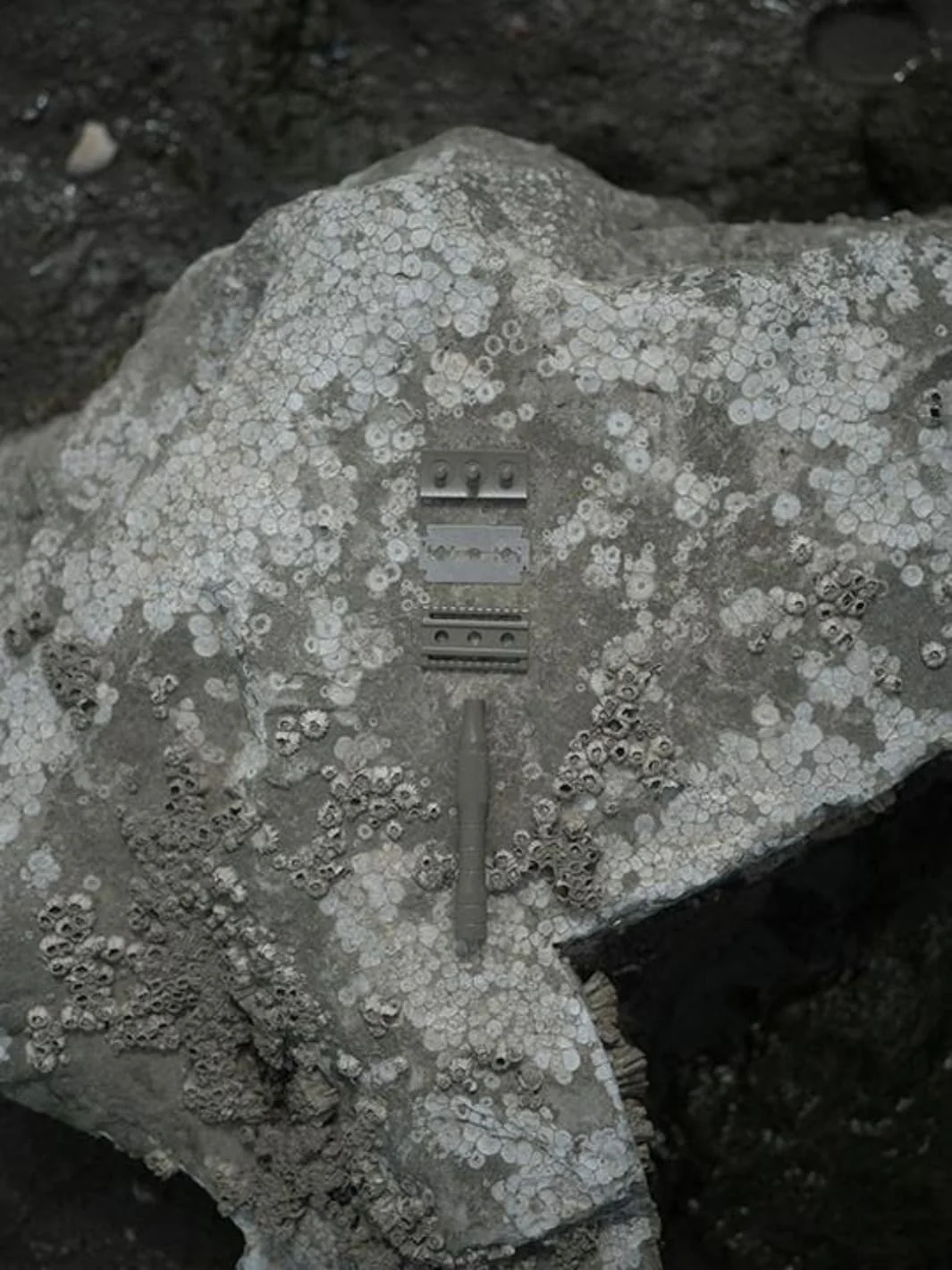 Safety Razor - Kelp - Image 3