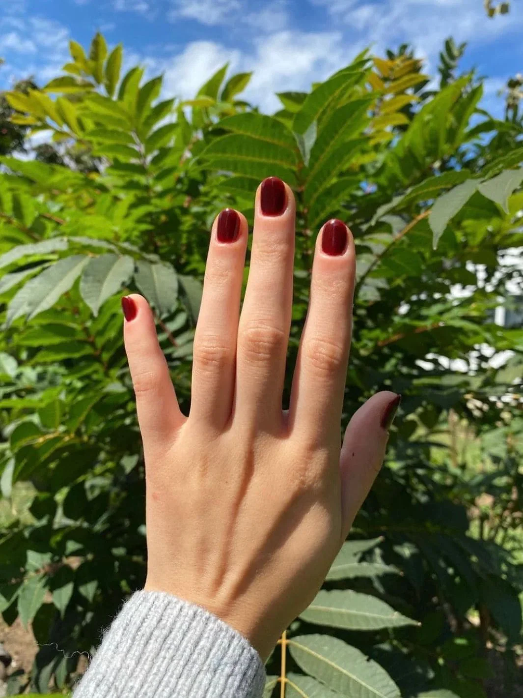Swamp Sparrow Nail Polish - Image 3