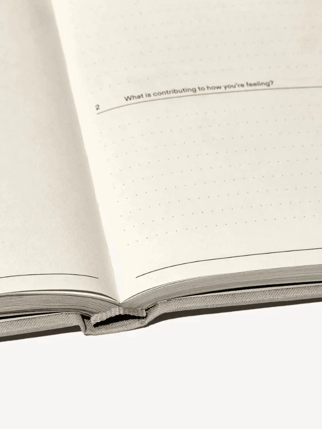 Therapy Journal - Image 9