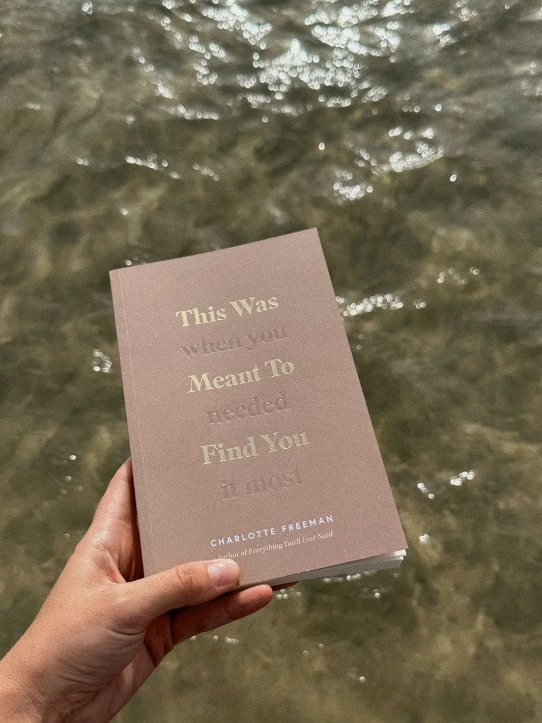 This Was Meant To Find You (When You Needed It Most) - Image 2