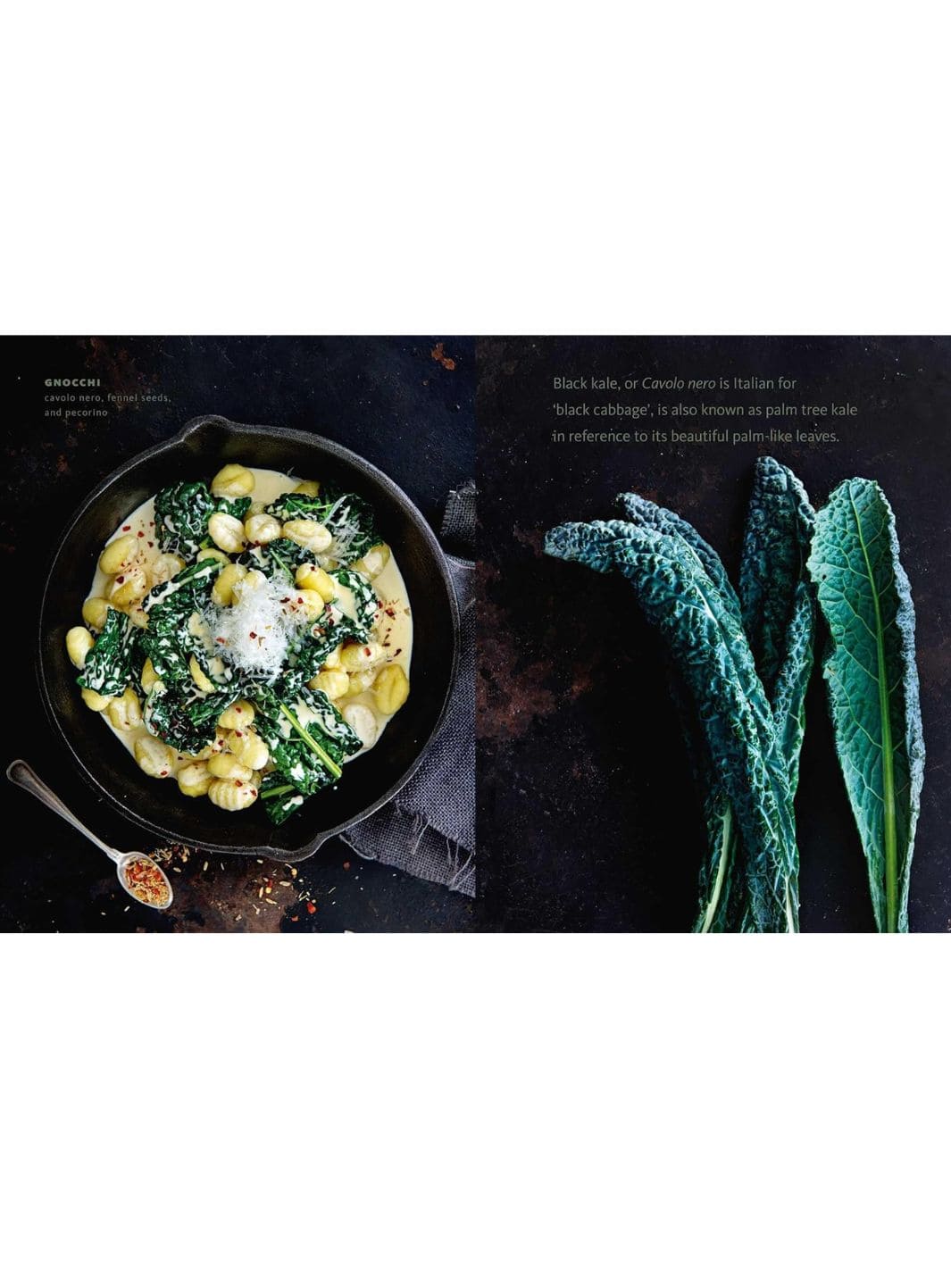 Vibrant Vegetables: 100+ Delicious Recipes Using 20+ Common Veggies - Image 5