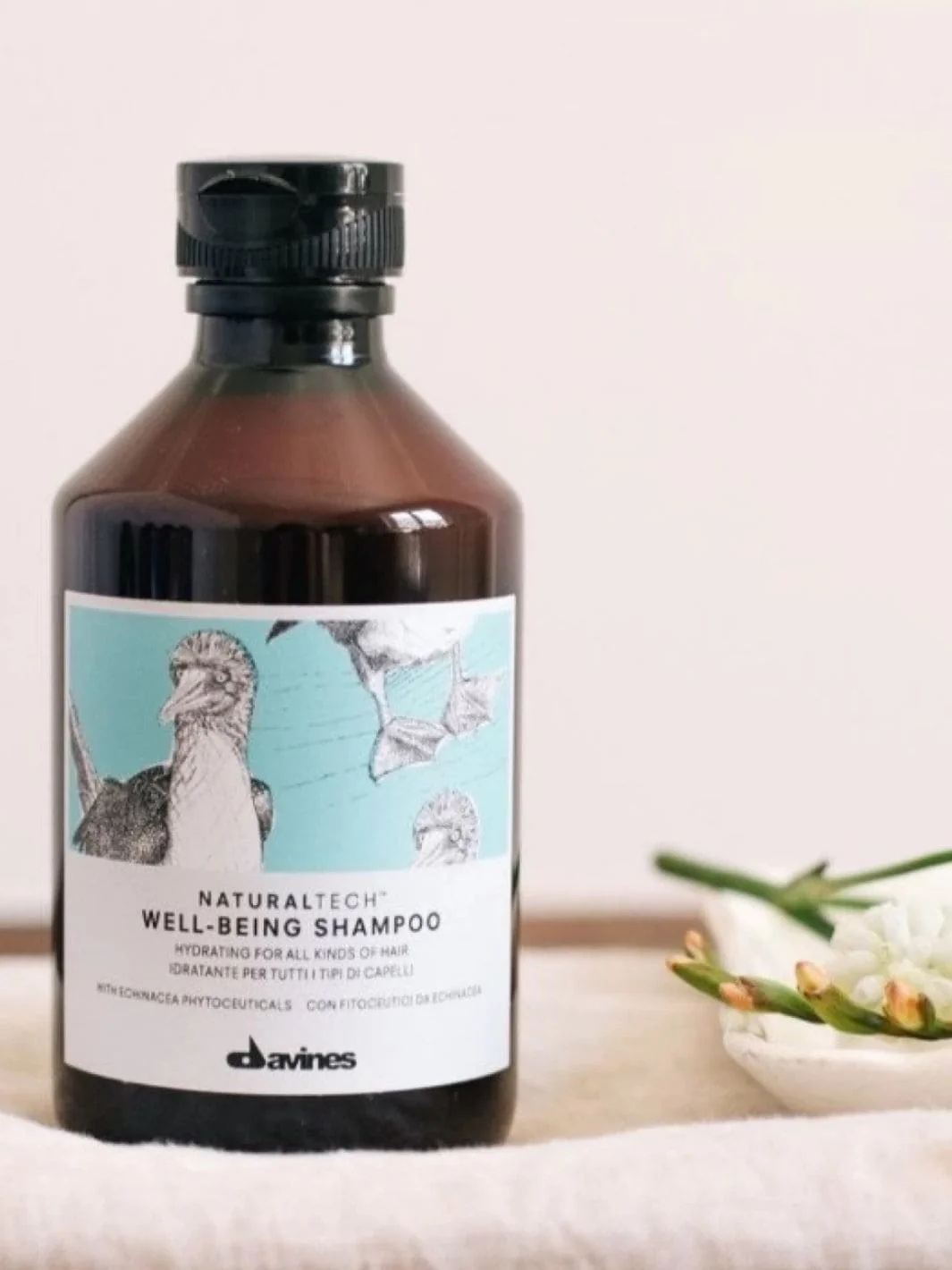 WELLBEING Shampoo - Image 3