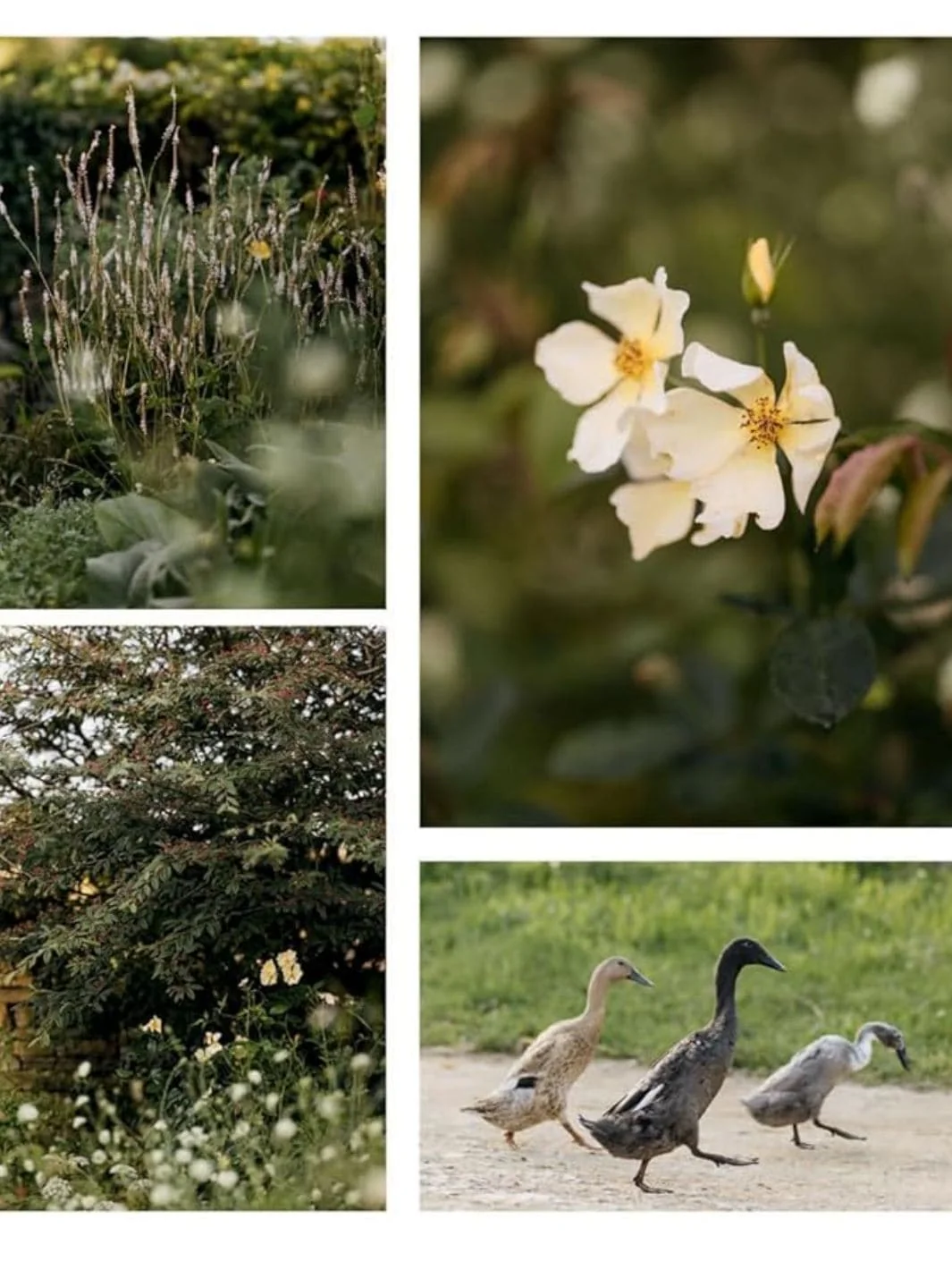 Wonderlands: British Garden Designers at Home - Image 14