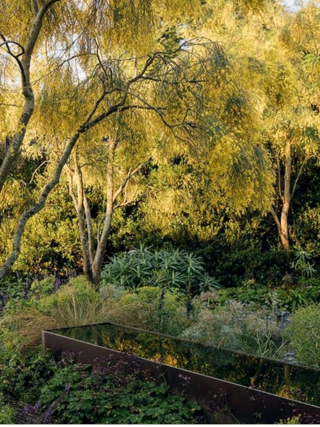 Wonderlands: British Garden Designers at Home - Image 15